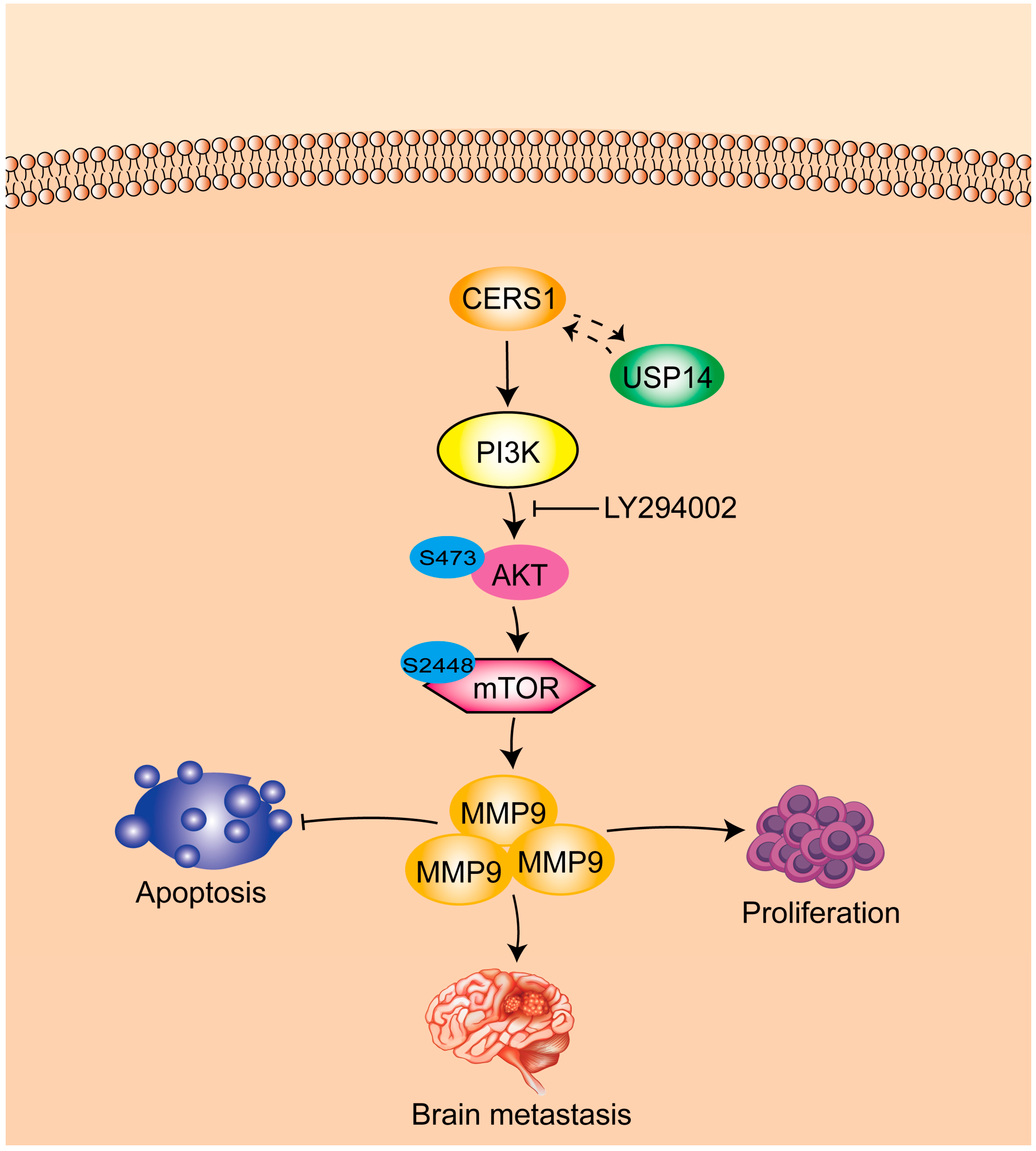 Cancers 15 01994 g006