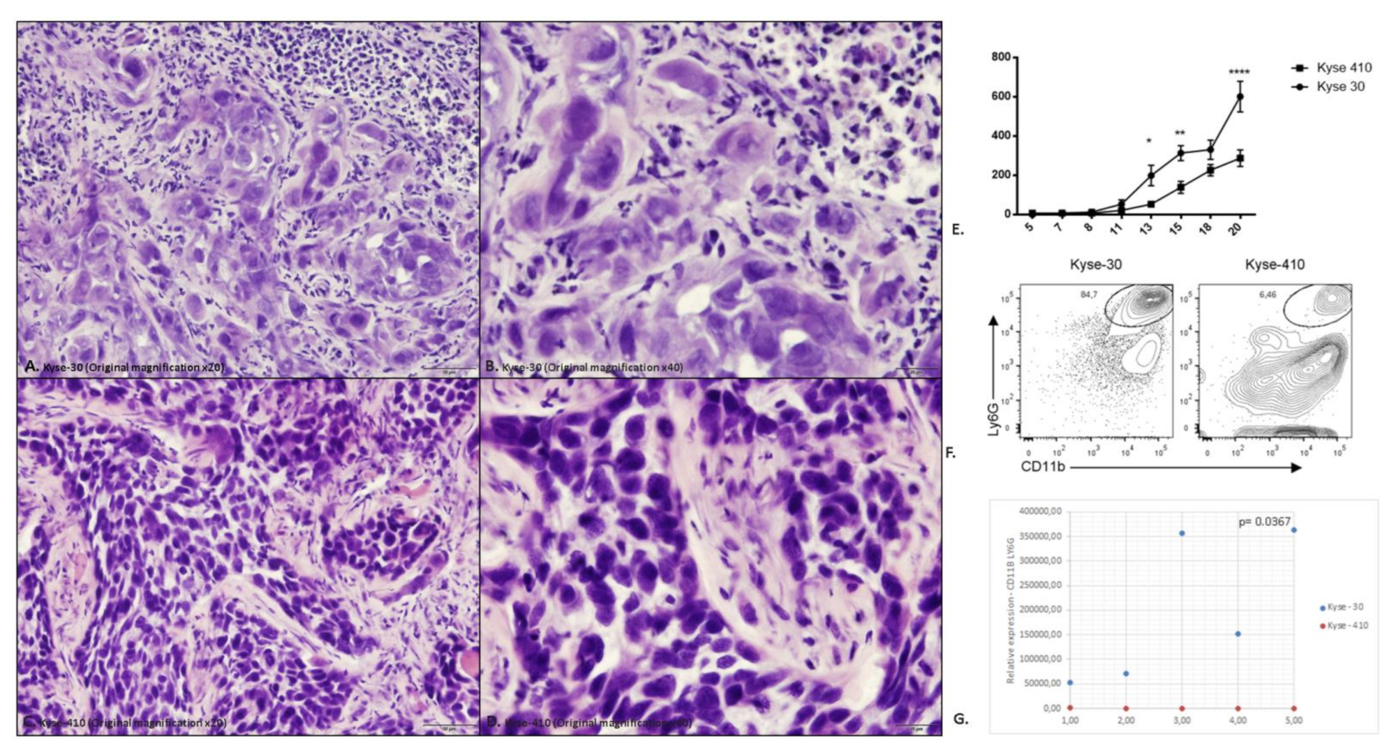 Cancers 15 01997 g002