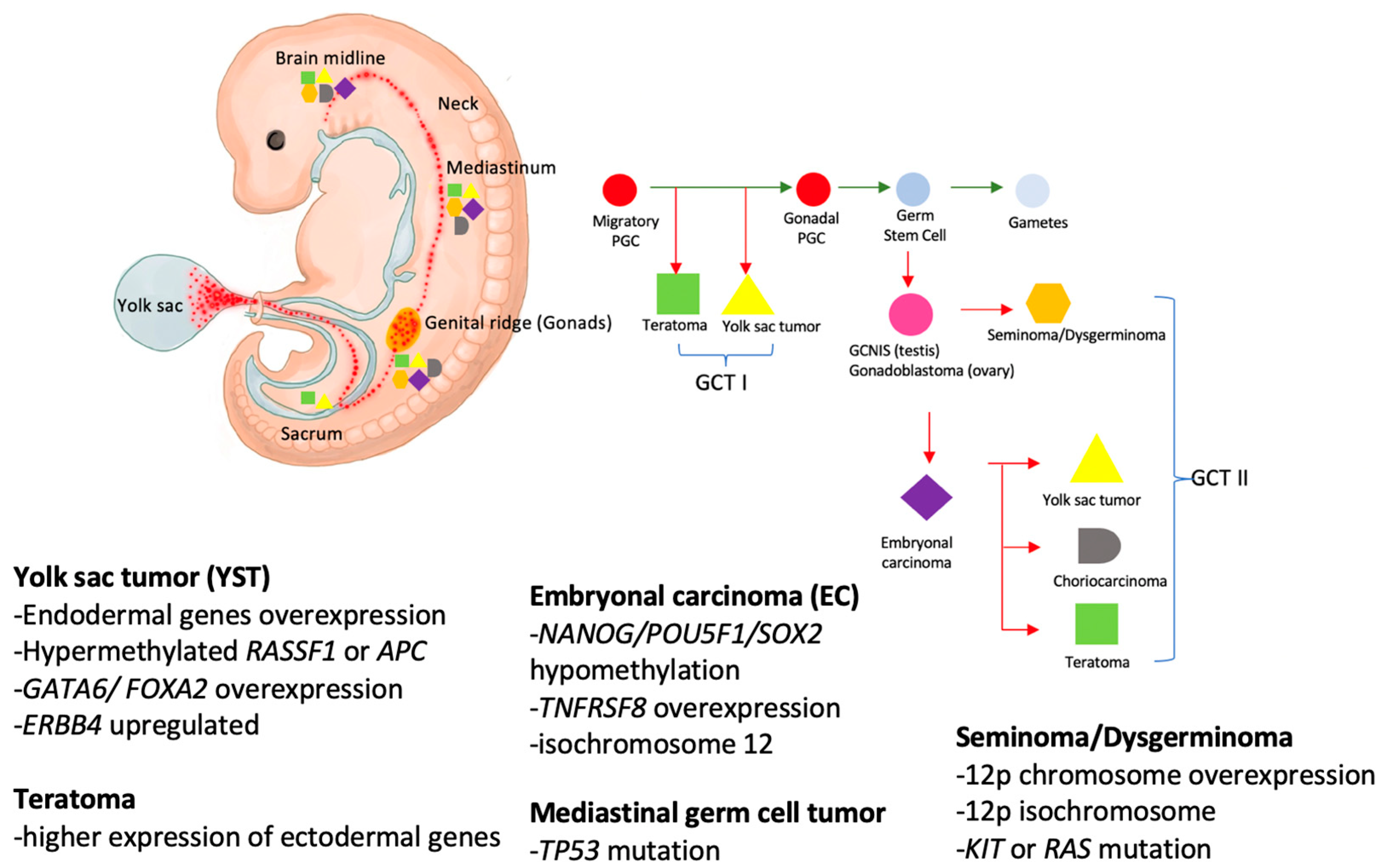 Cancers 15 01998 g001 Cancers 15 01998 g001