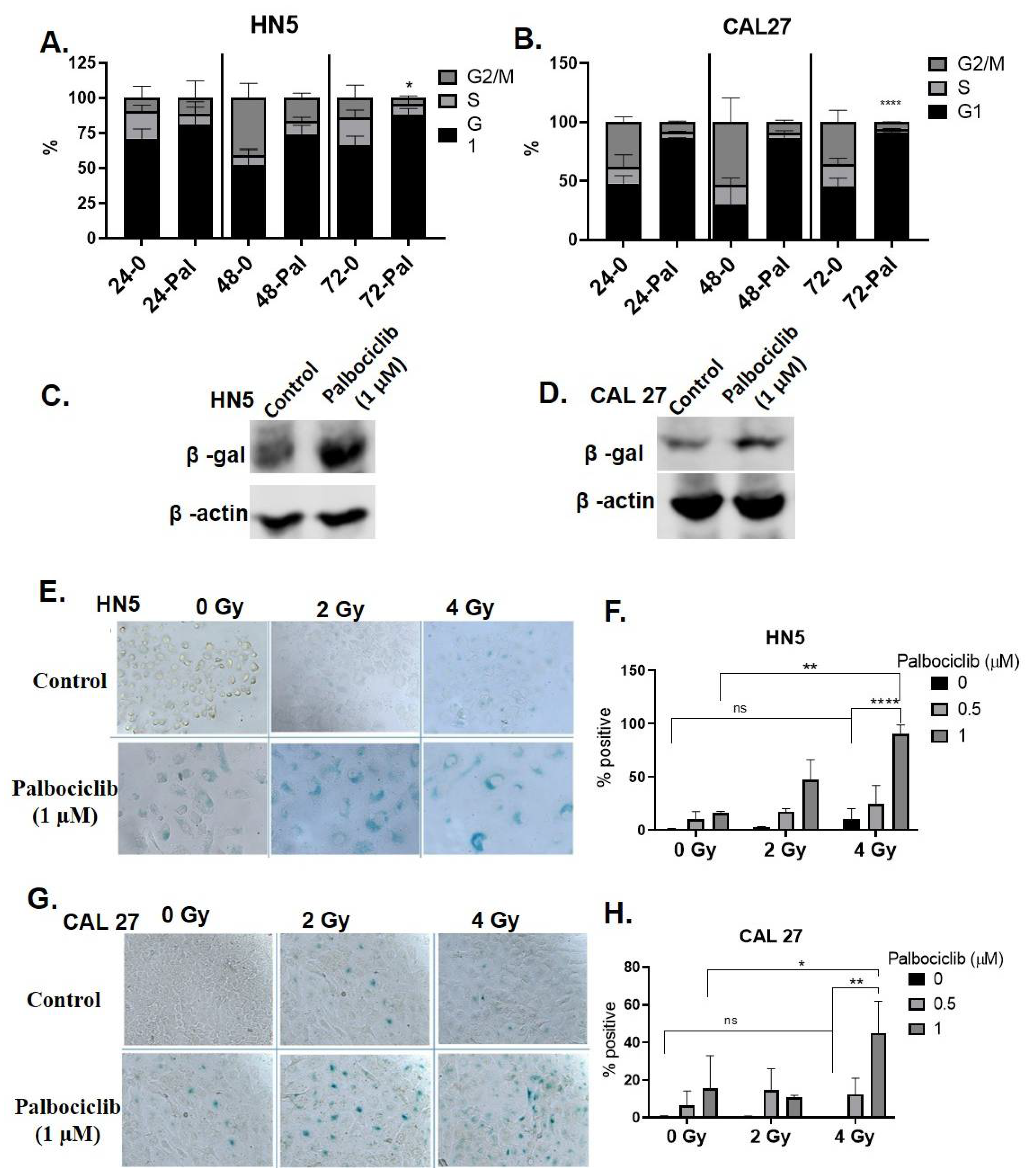 Cancers 15 02005 g002