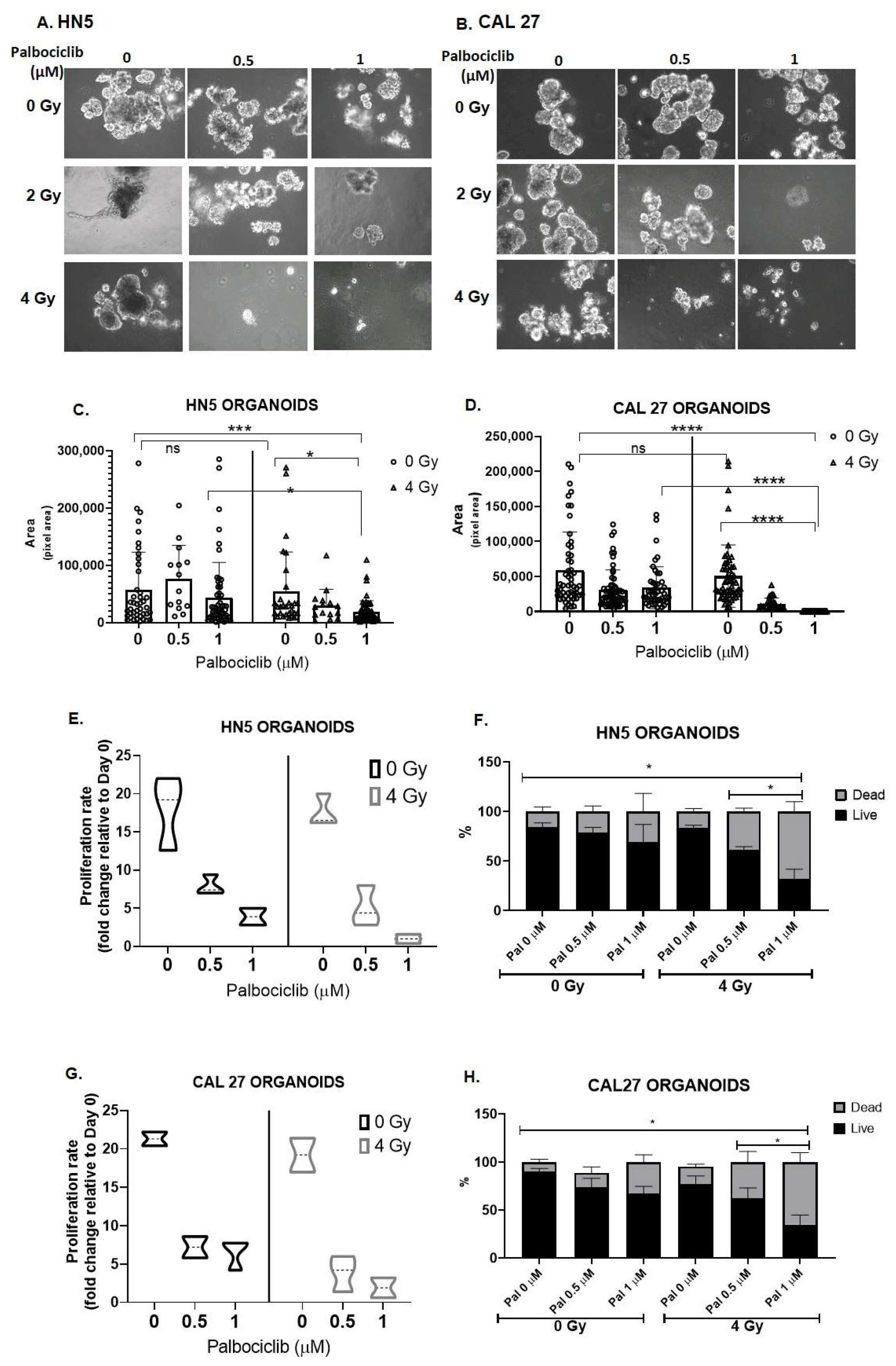 Cancers 15 02005 g005