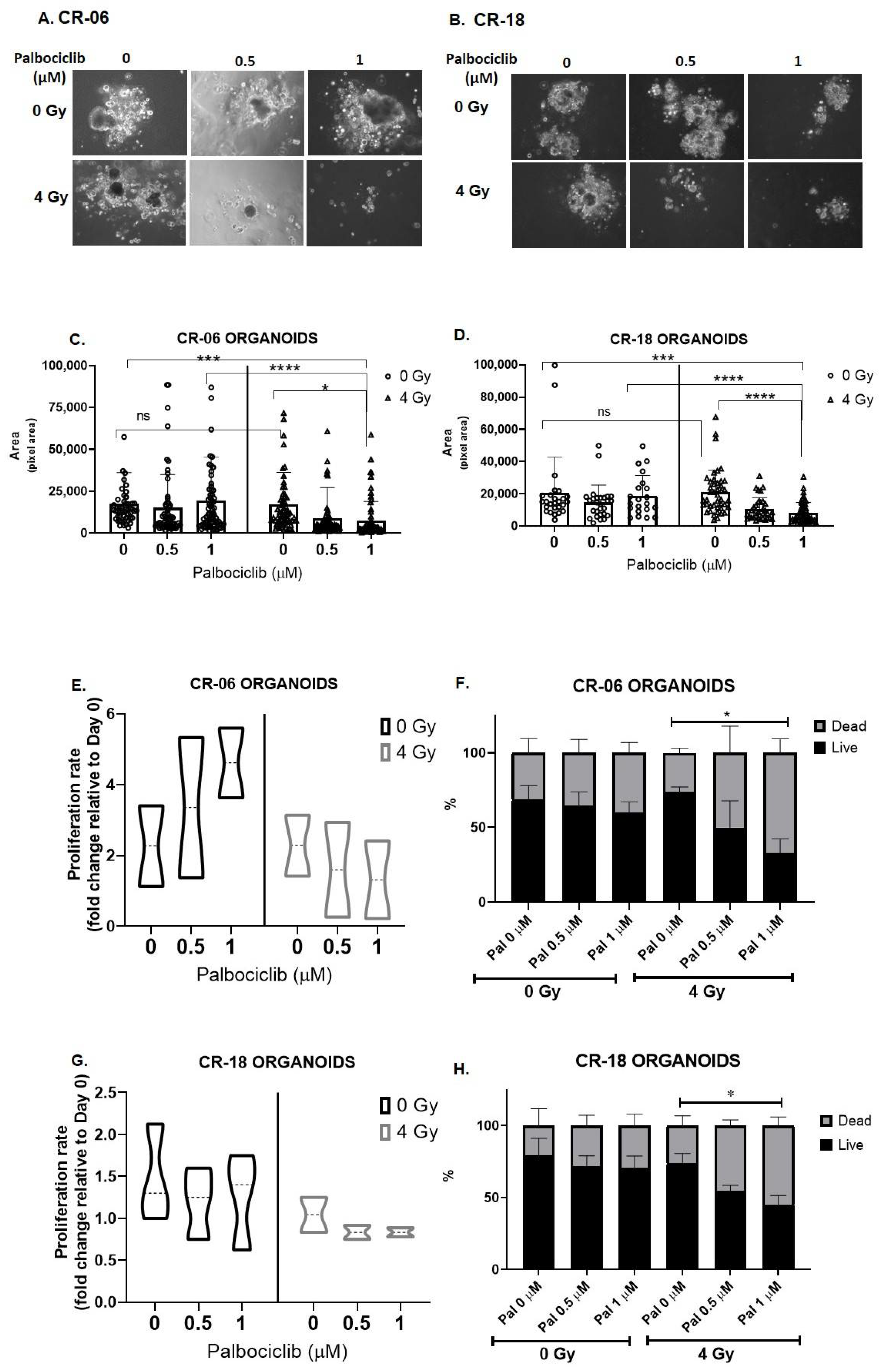 Cancers 15 02005 g006