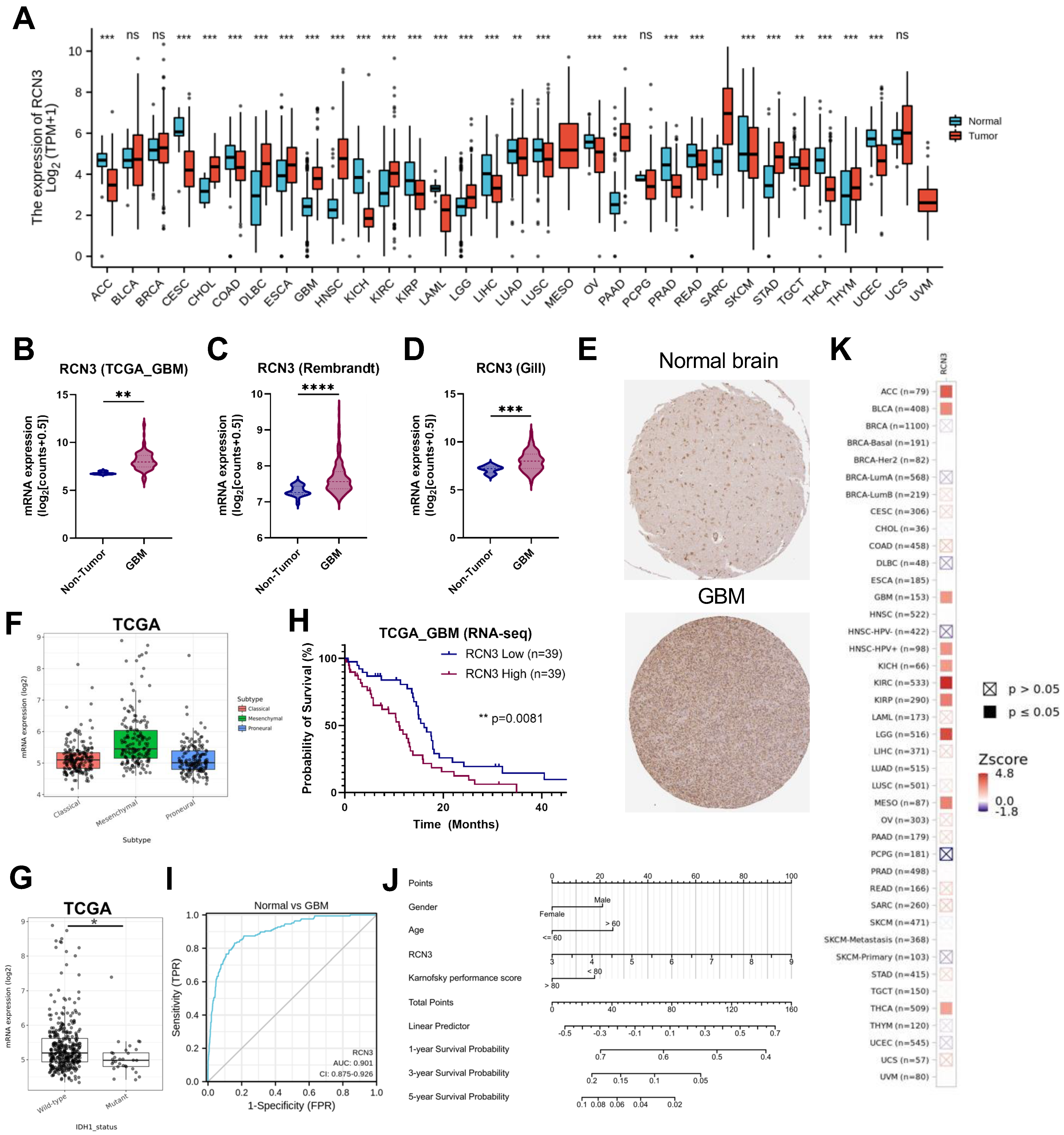 Cancers 15 02008 g001 Cancers 15 02008 g001