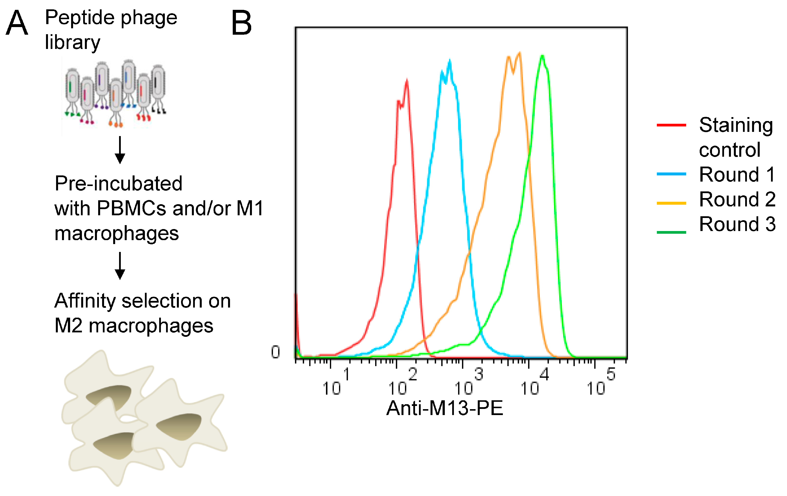 Cancers 15 02009 g001