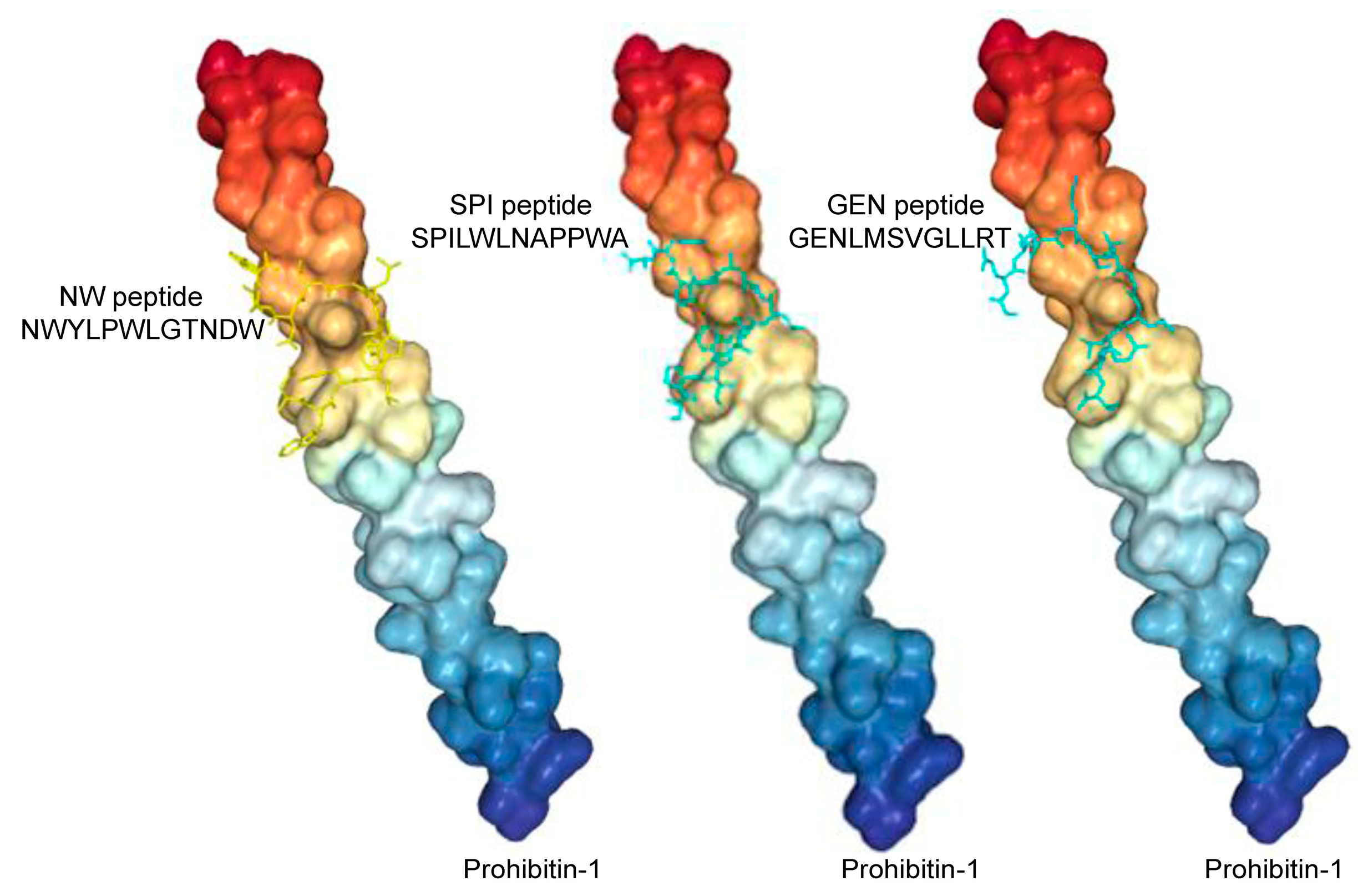 Cancers 15 02009 g004