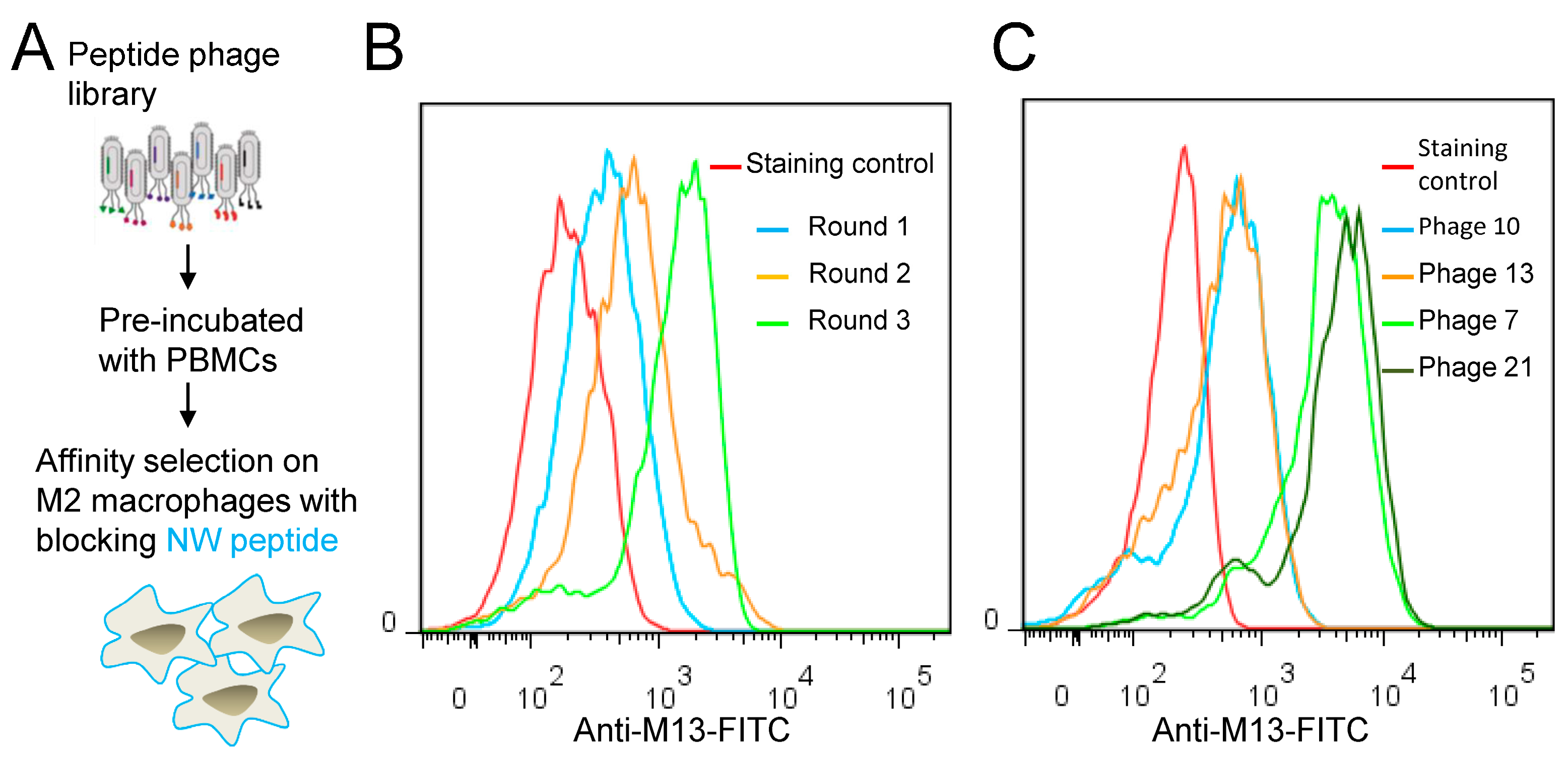 Cancers 15 02009 g005