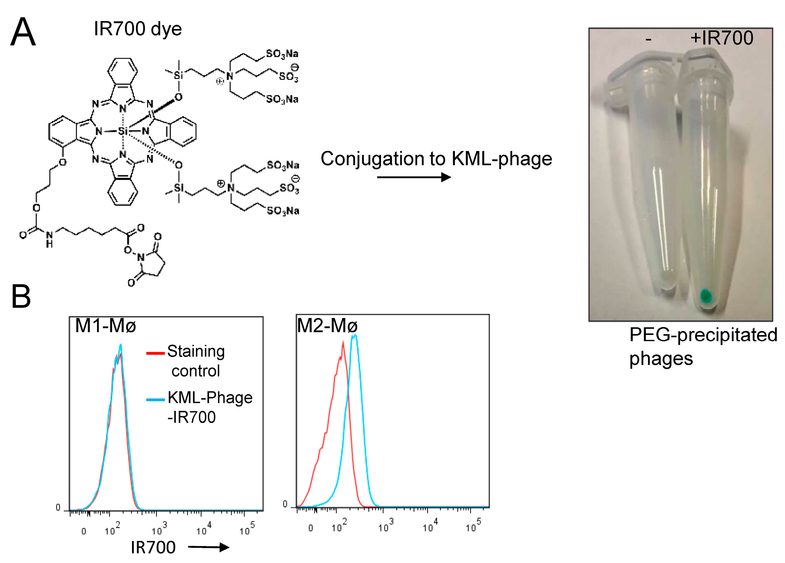 Cancers 15 02009 g007