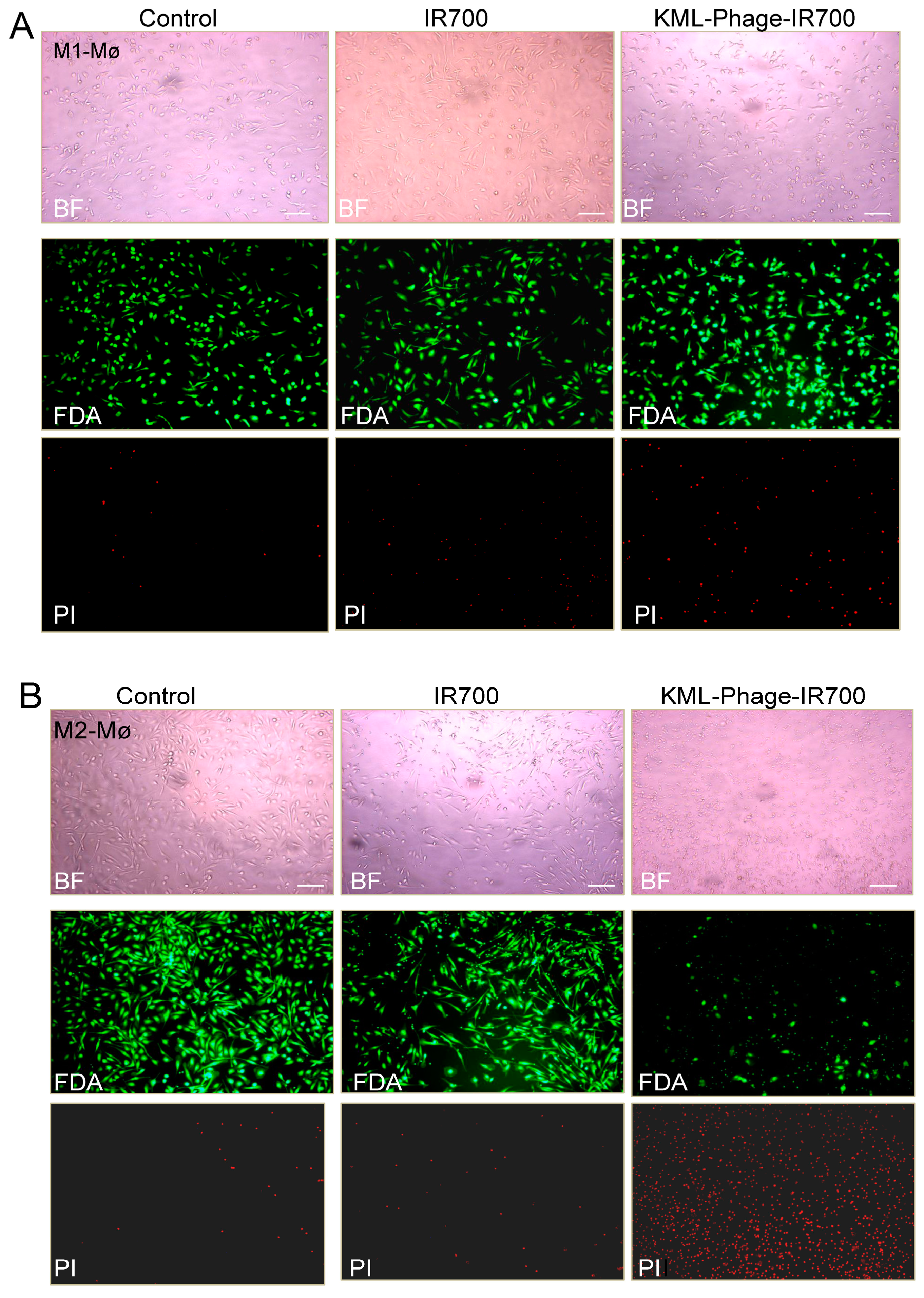 Cancers 15 02009 g008