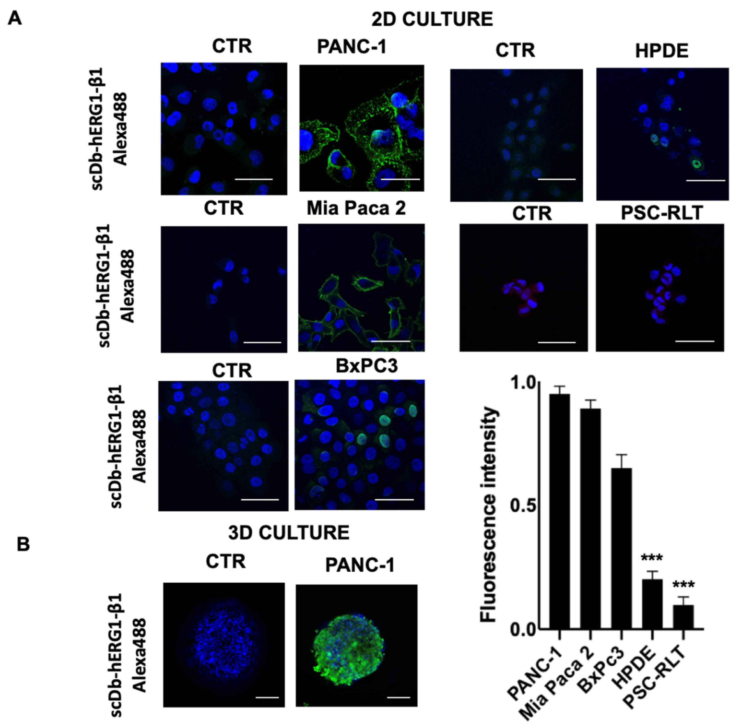 Cancers 15 02013 g003 Cancers 15 02013 g003