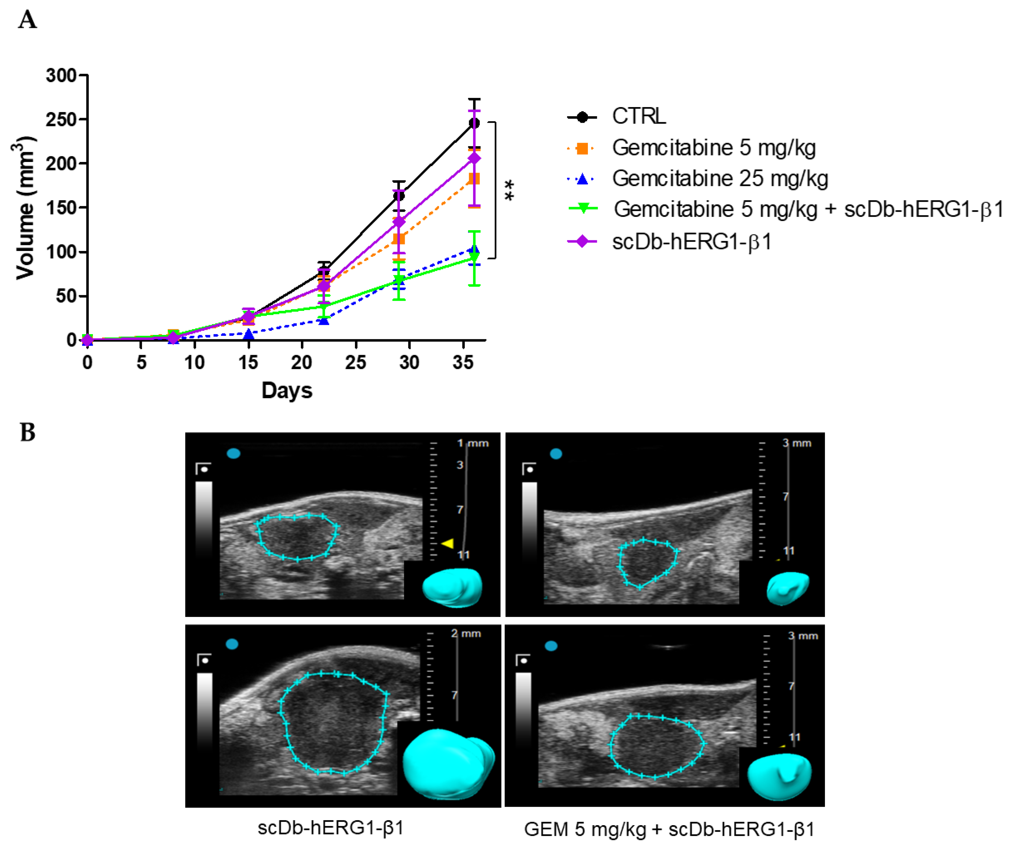 Cancers 15 02013 g007 Cancers 15 02013 g007