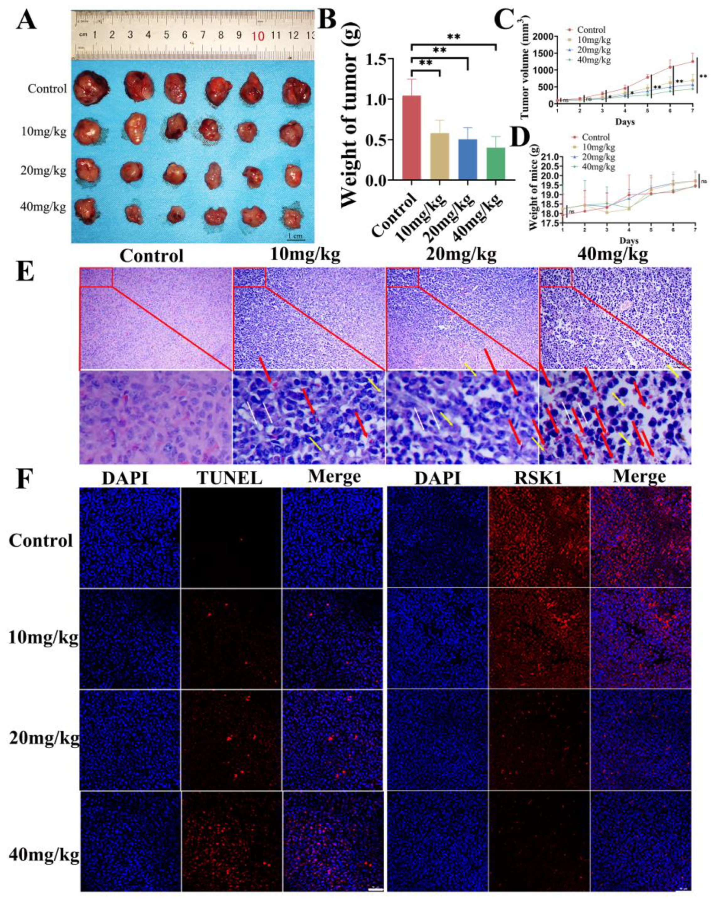 Cancers 15 02023 g002
