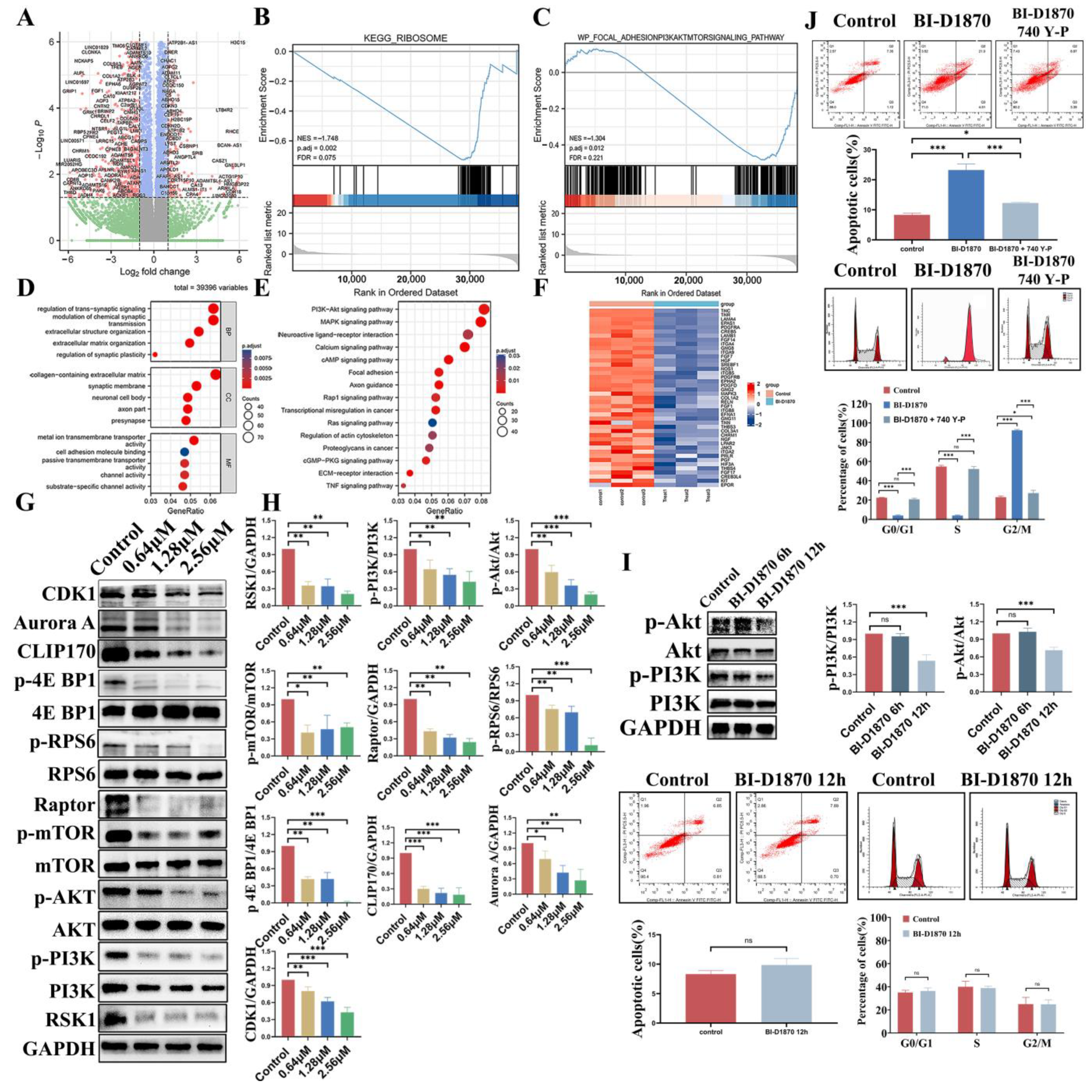 Cancers 15 02023 g007