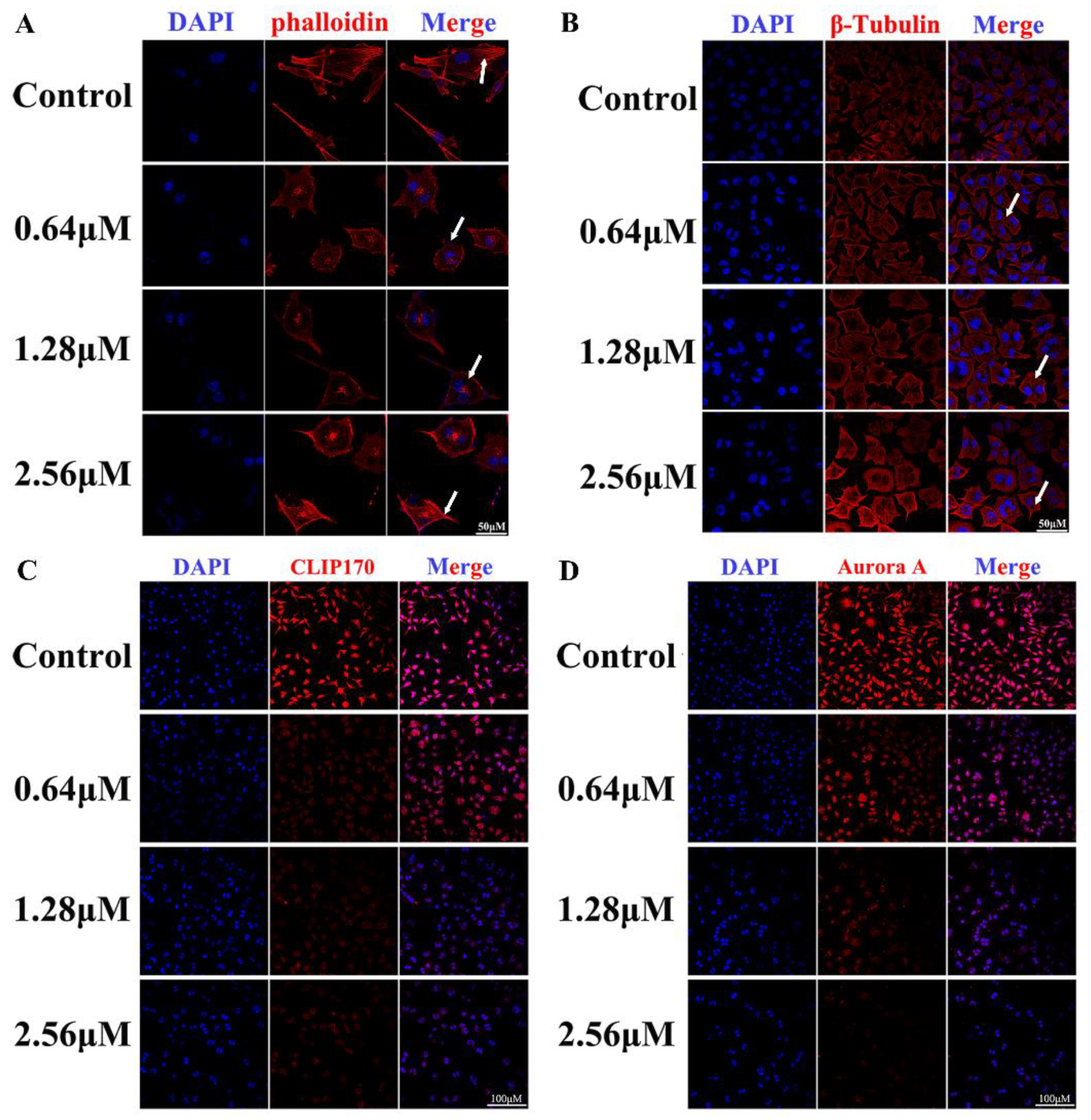 Cancers 15 02023 g008