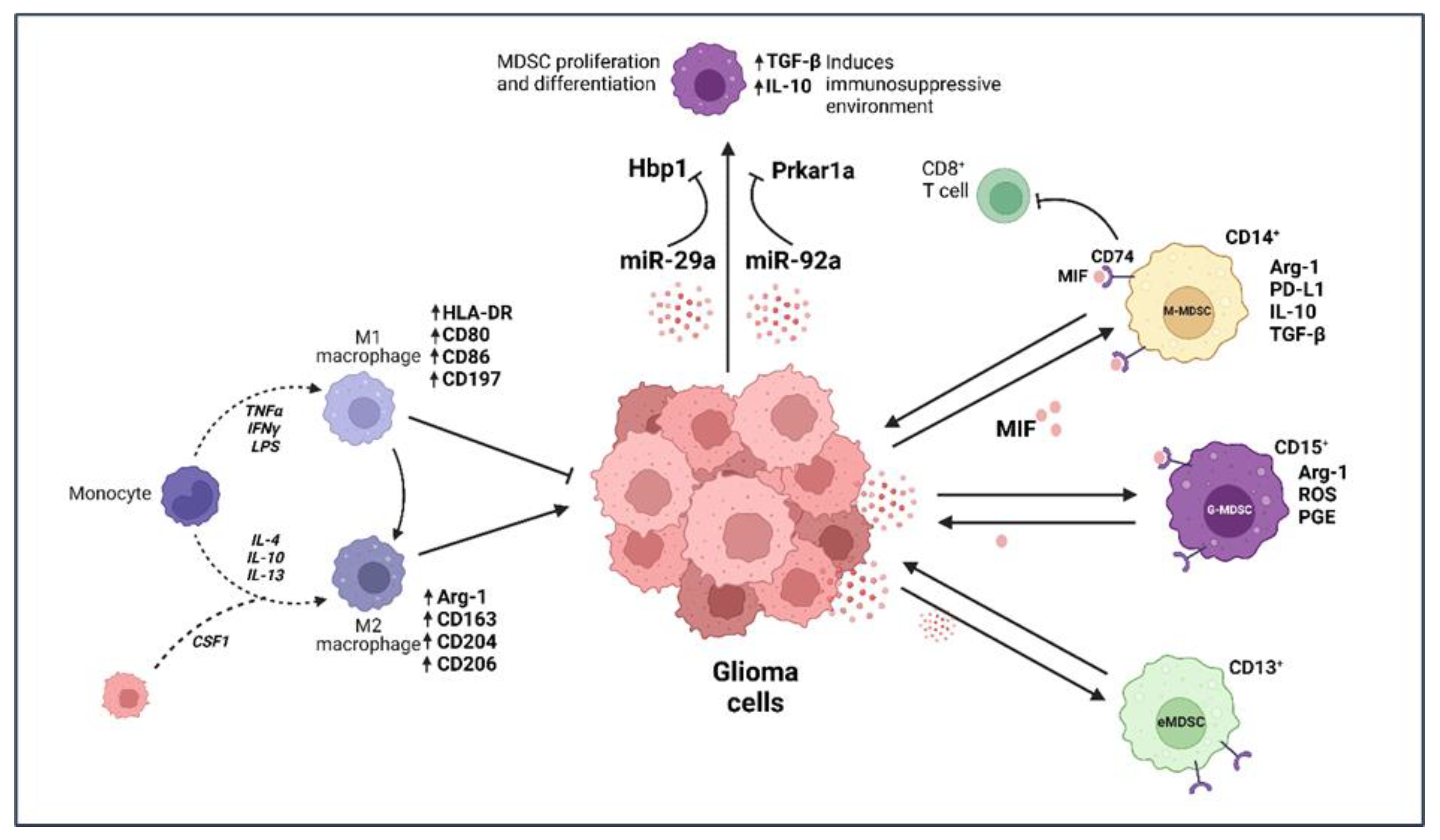 Cancers 15 02024 g002 Cancers 15 02024 g002