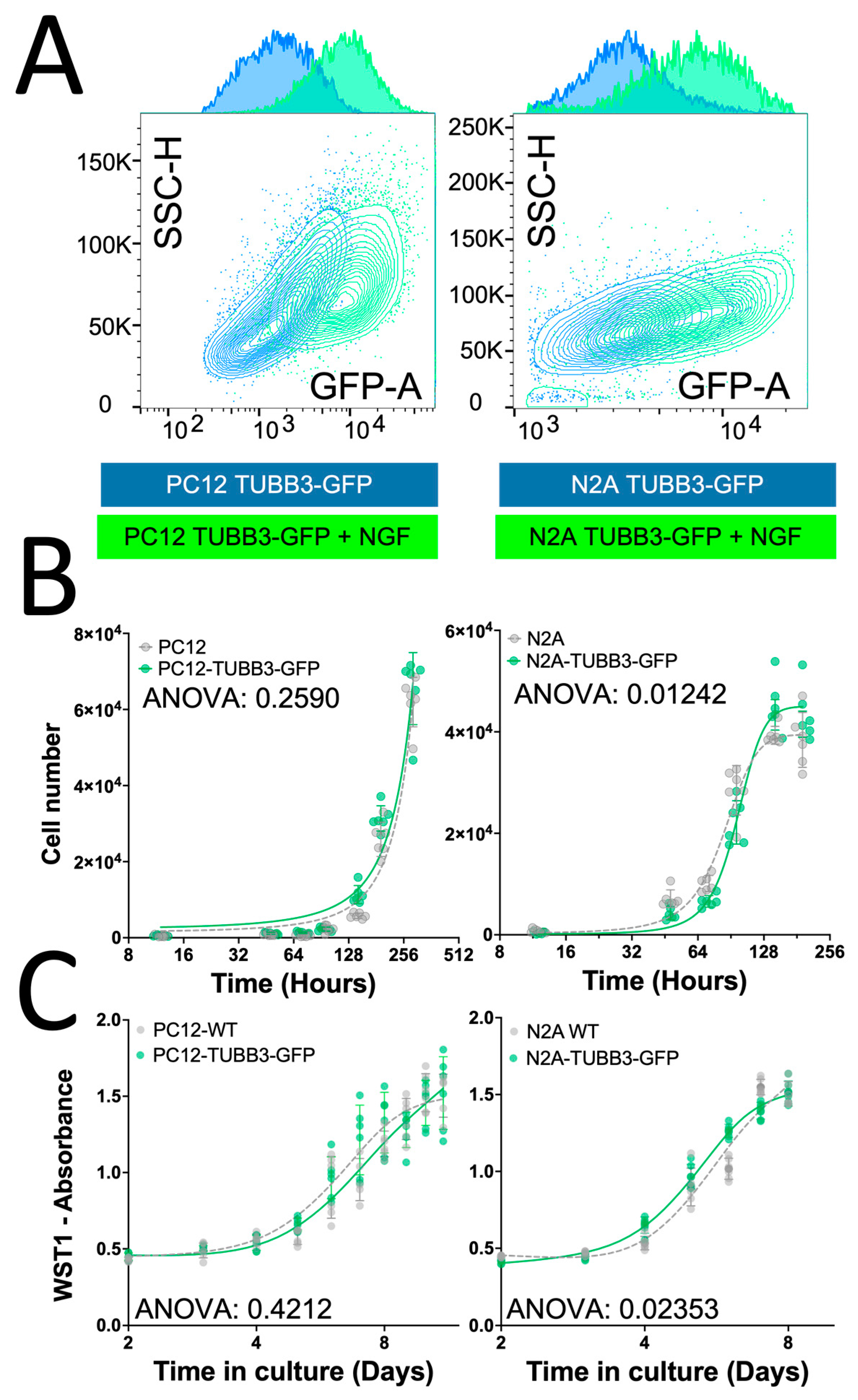 Cancers 15 02026 g004