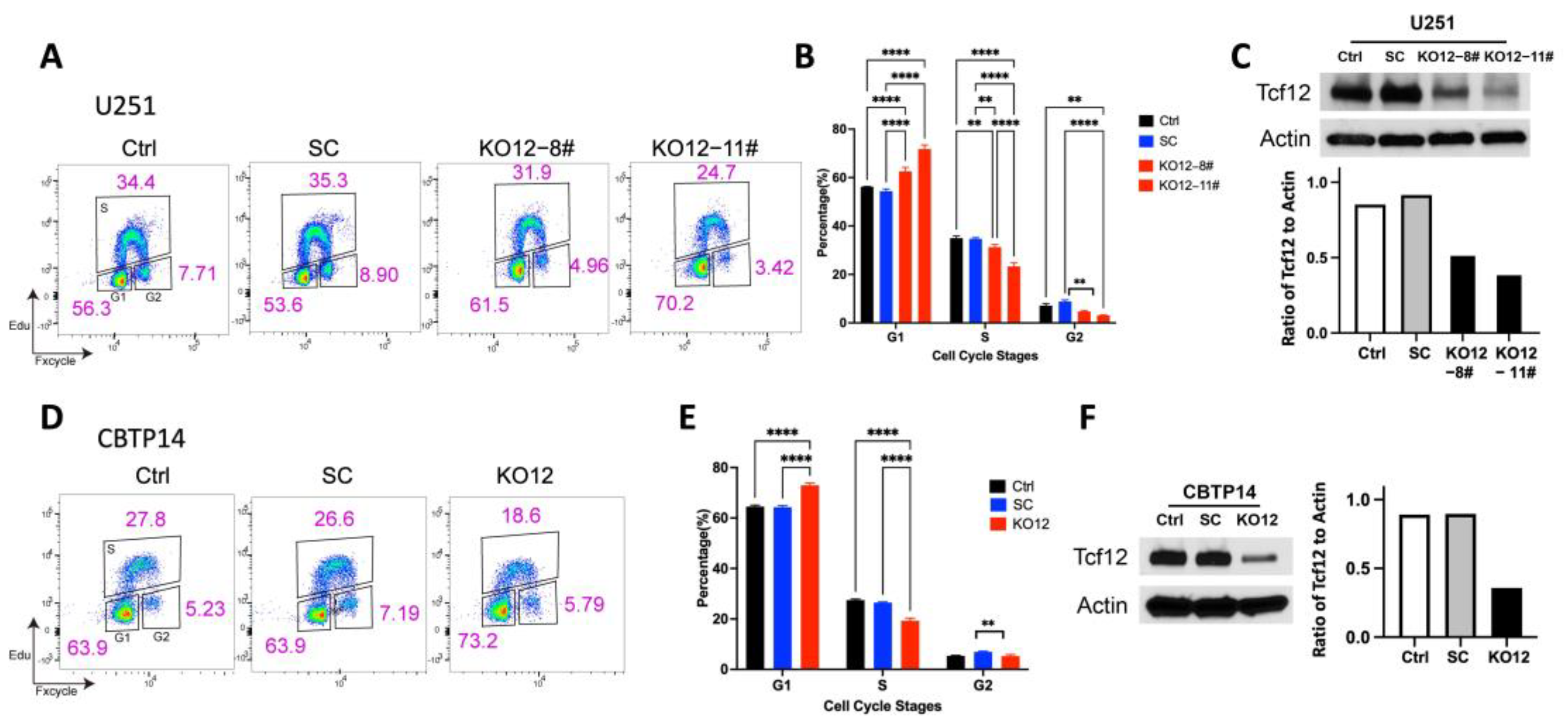 Cancers 15 02033 g003