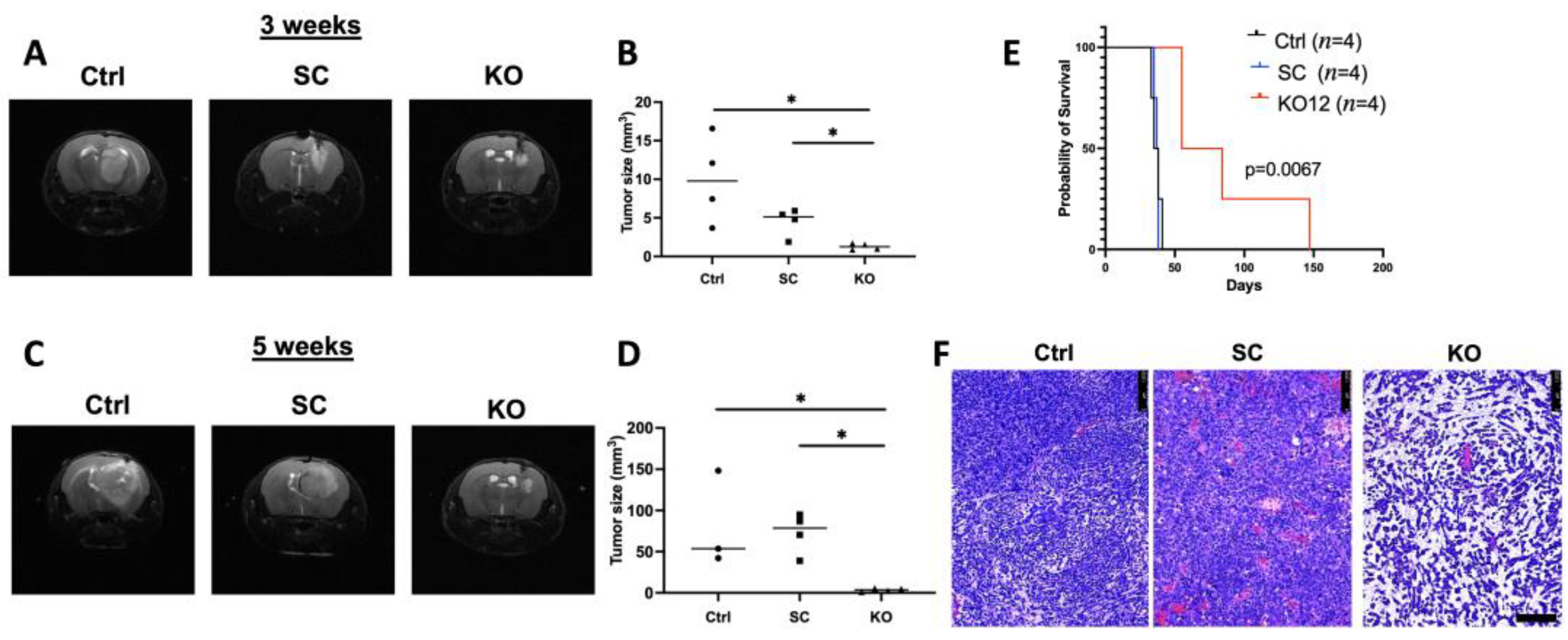 Cancers 15 02033 g005