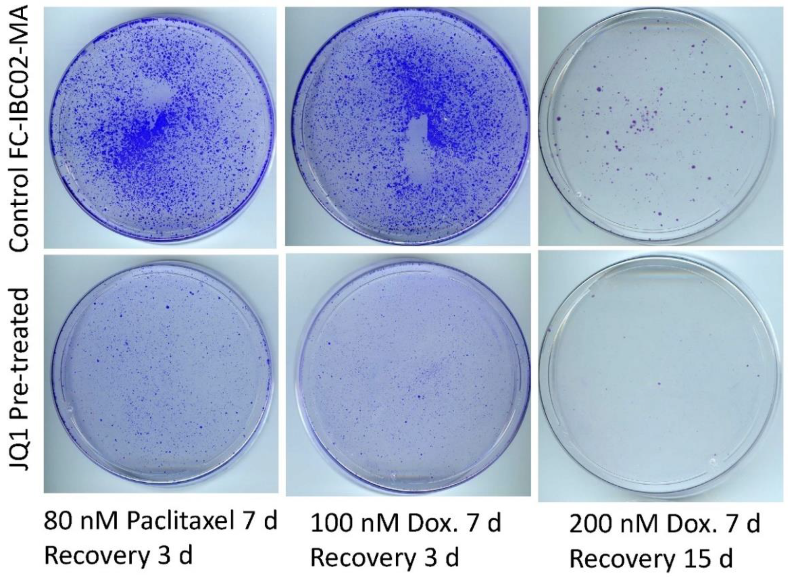 Cancers 15 02036 g006 Cancers 15 02036 g006