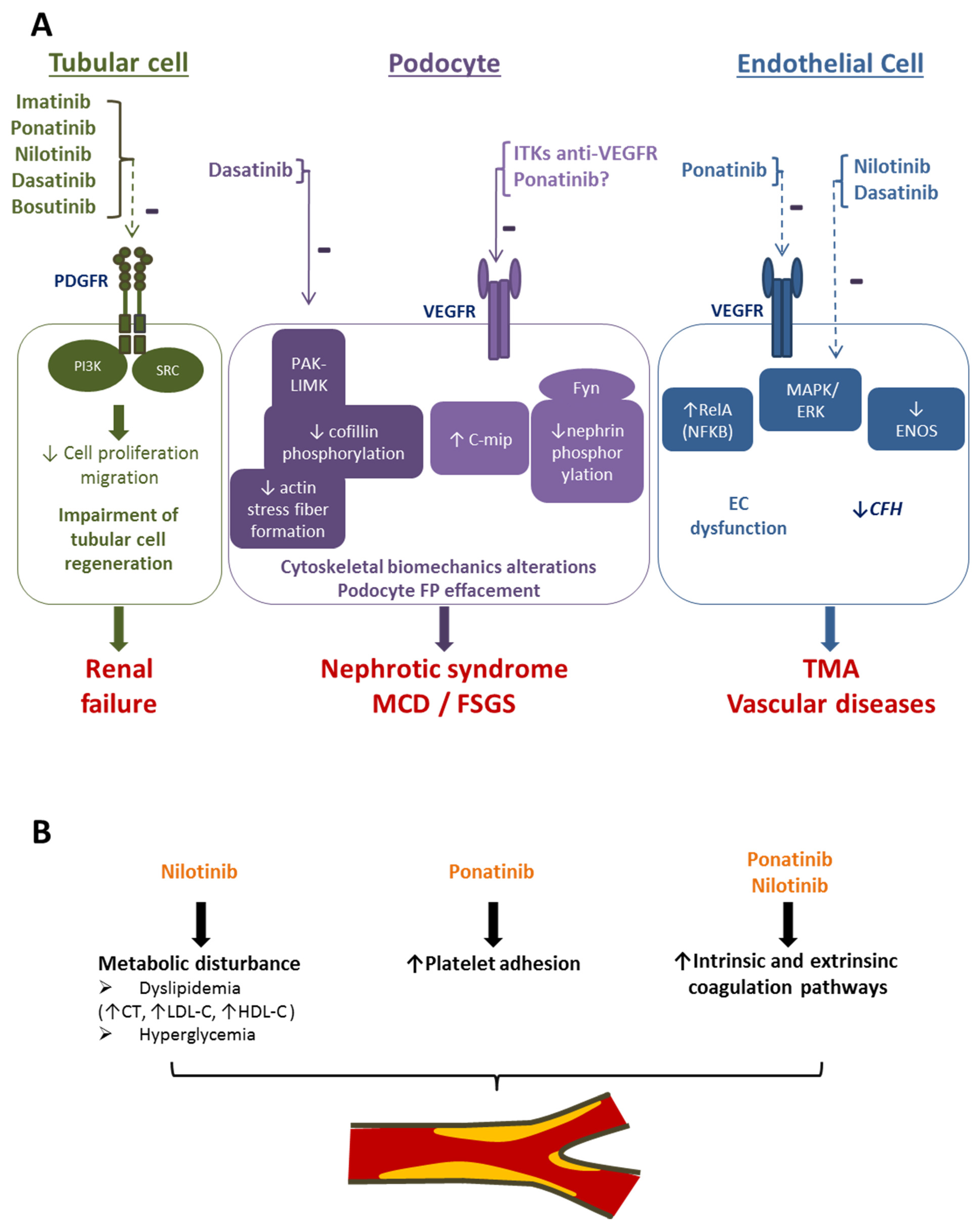 Cancers 15 02041 g002 Cancers 15 02041 g002