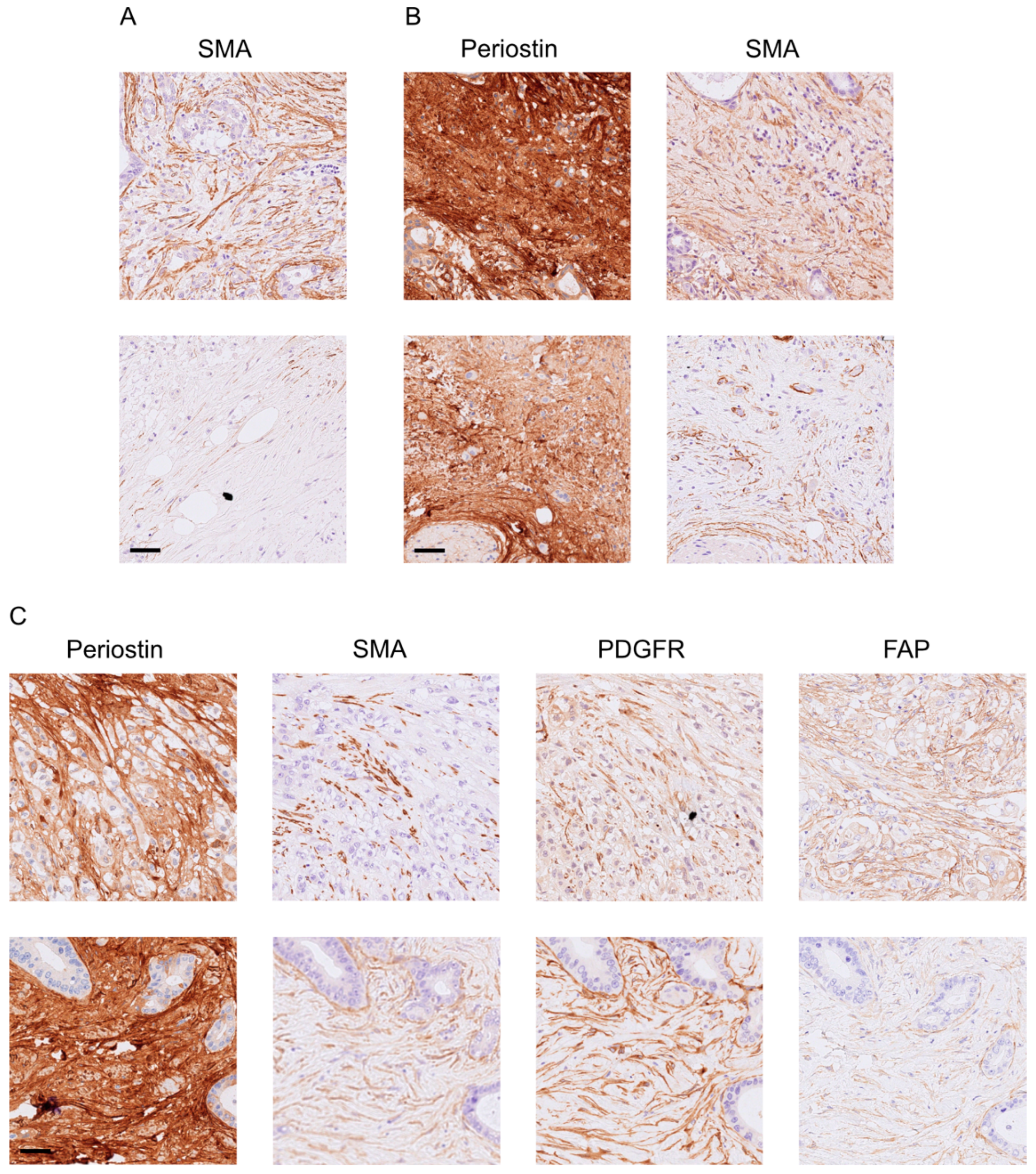 Cancers 15 02049 g003 Cancers 15 02049 g003