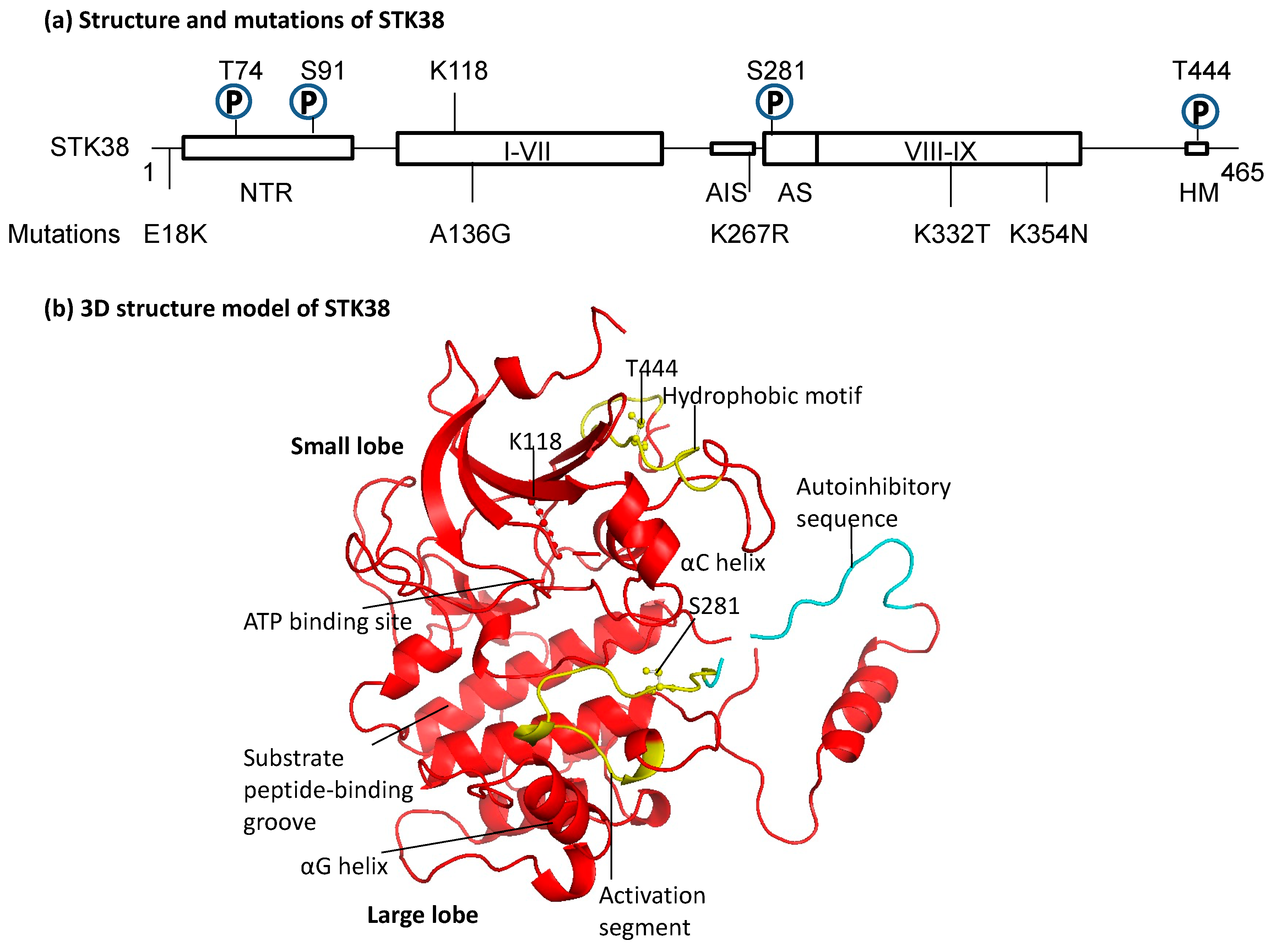Cancers 15 02054 g001 Cancers 15 02054 g001