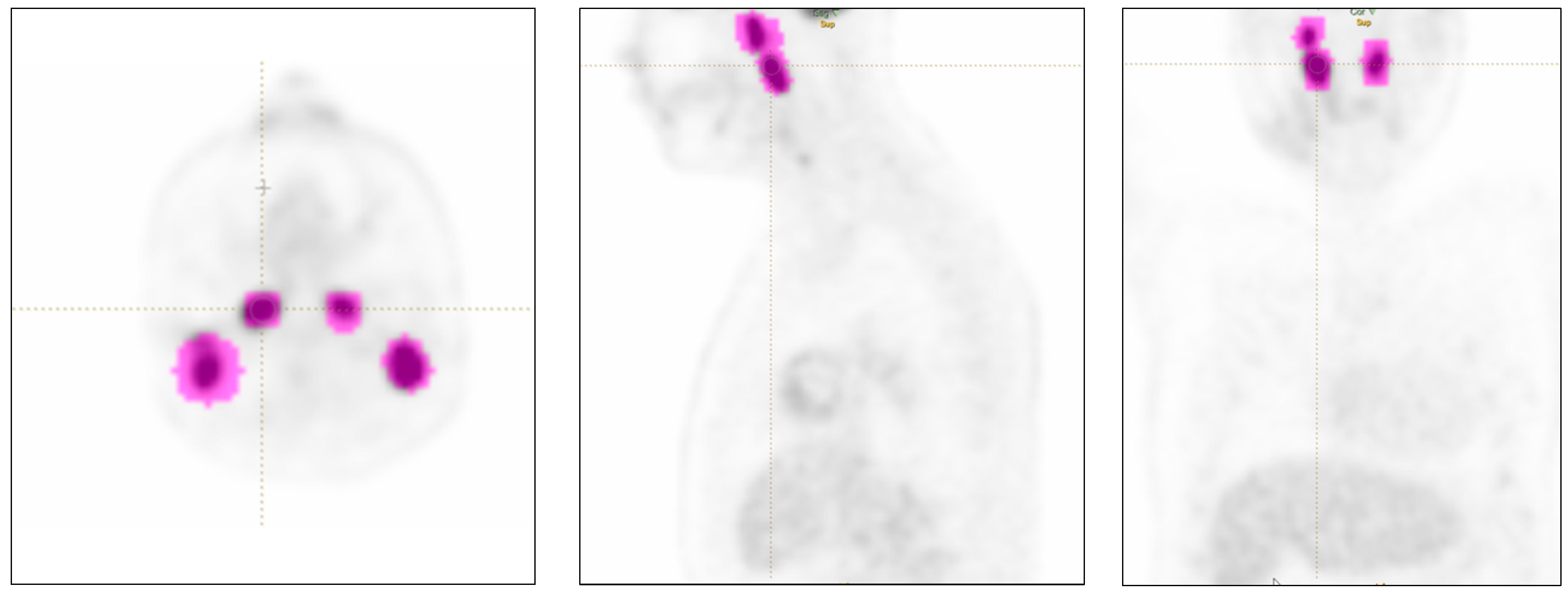 Cancers 15 02056 g001