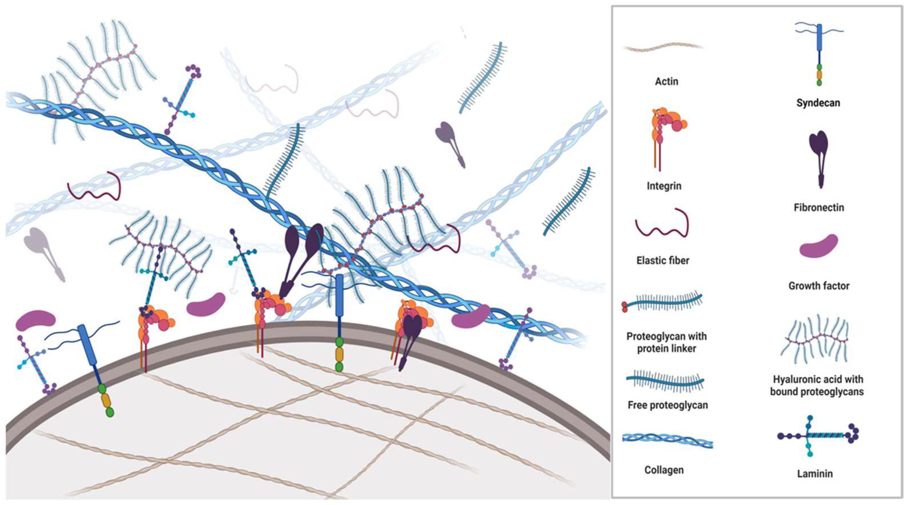 merk op Beweging James Dyson Cancers | Free Full-Text | The Matrix Reloaded—The Role of the Extracellular Matrix in Cancer merk op Beweging James Dyson Cancers | Free Full-Text | The Matrix Reloaded—The Role of the Extracellular Matrix in Cancer