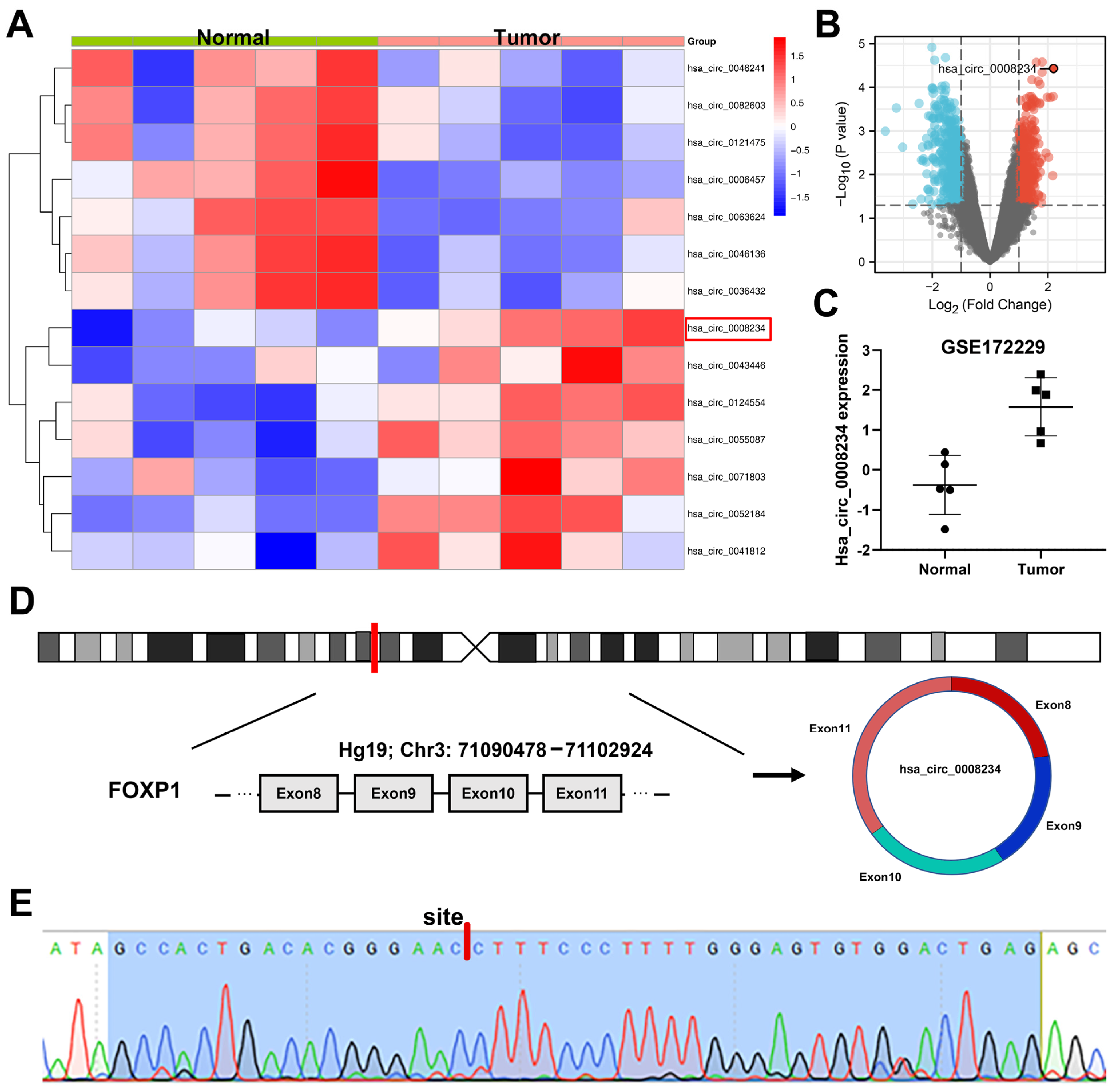 Cancers 15 02068 g001