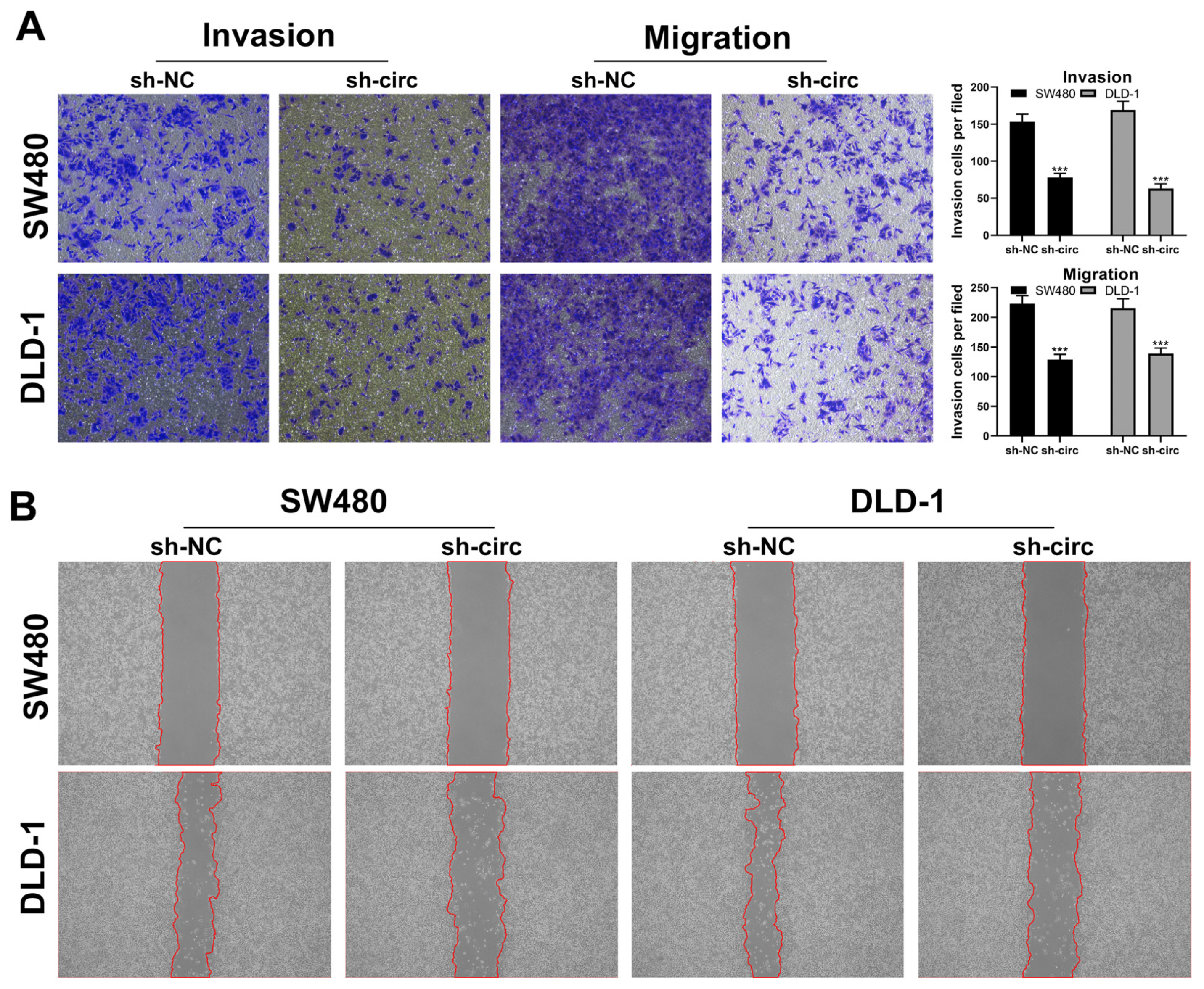 Cancers 15 02068 g003
