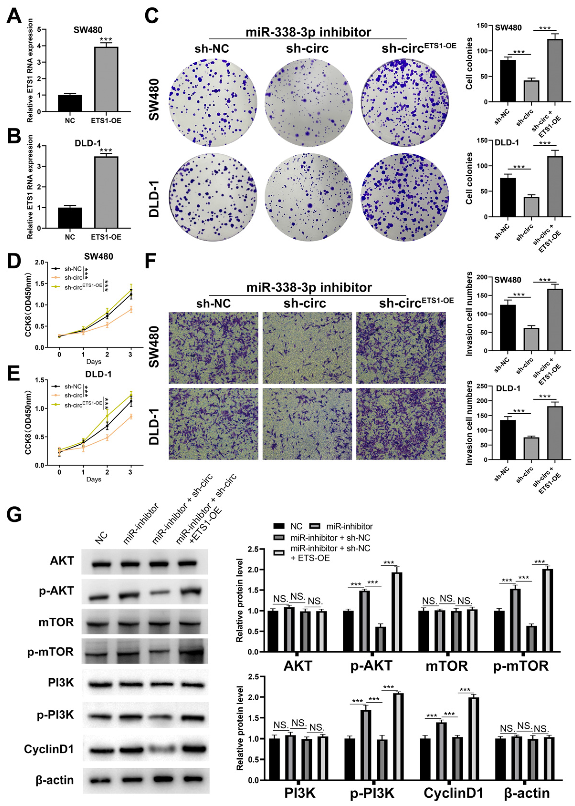 Cancers 15 02068 g006