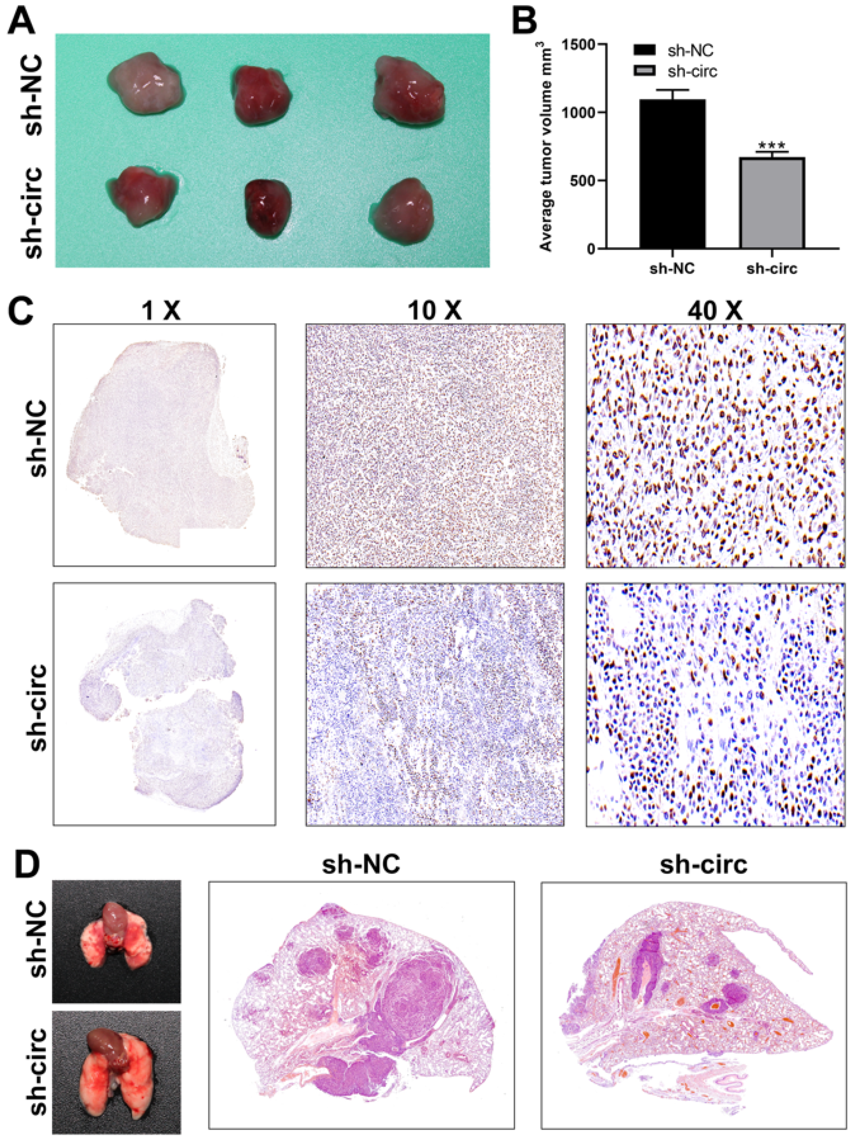Cancers 15 02068 g007