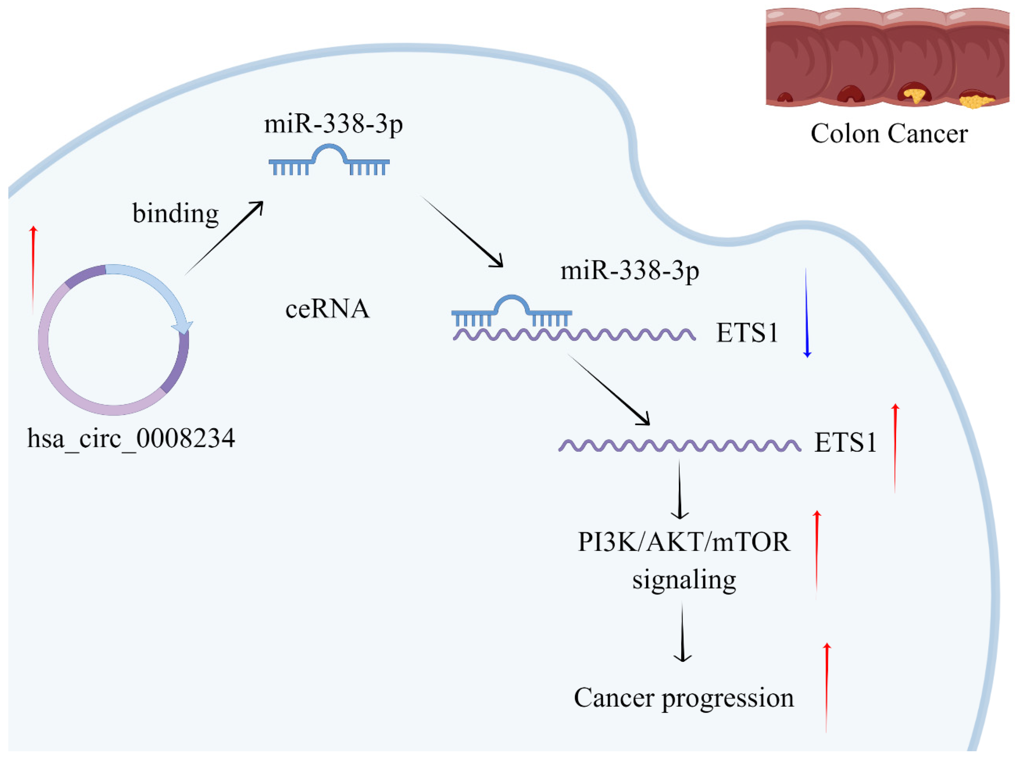 Cancers 15 02068 g008