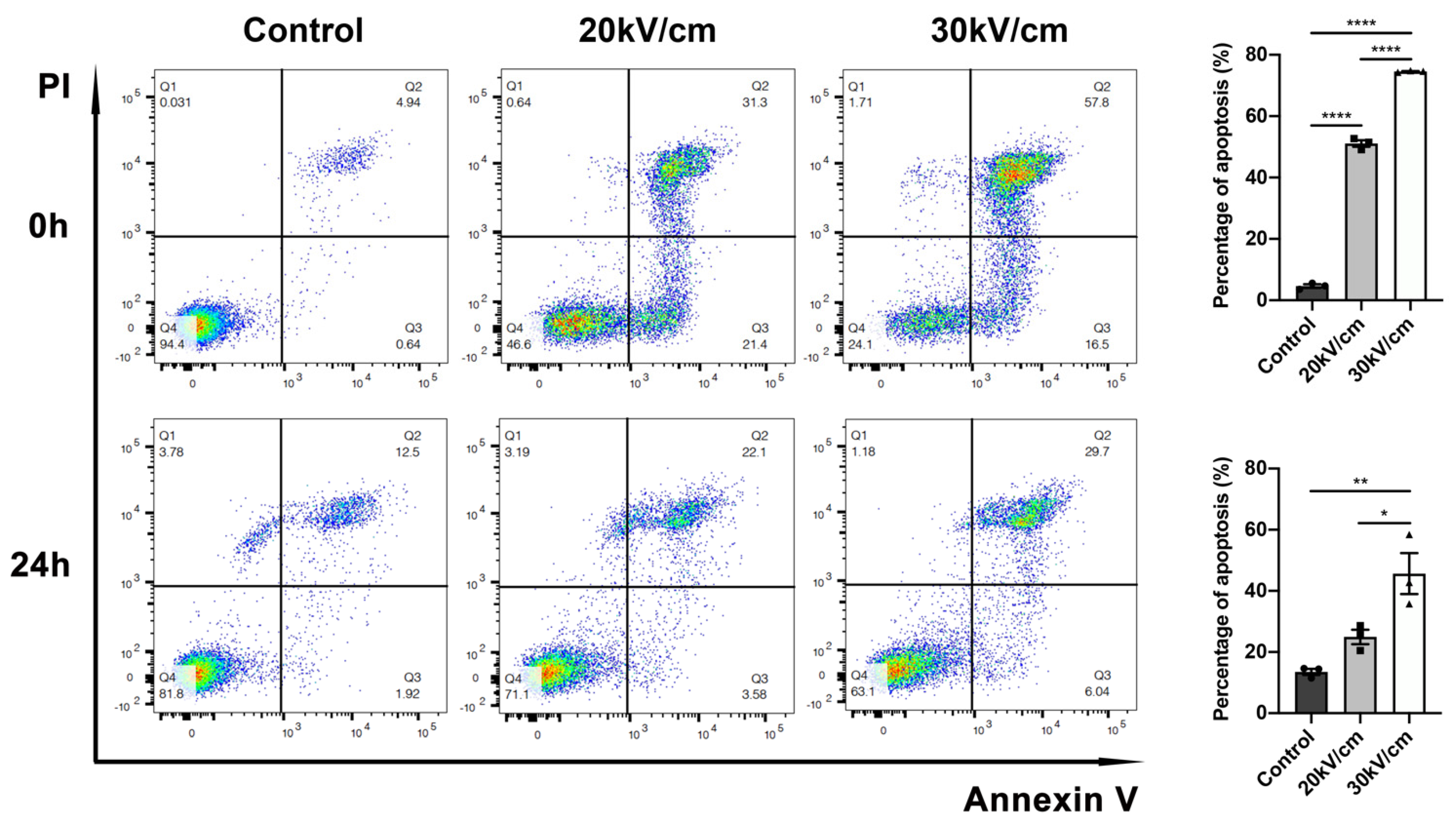Cancers 15 02076 g003 Cancers 15 02076 g003