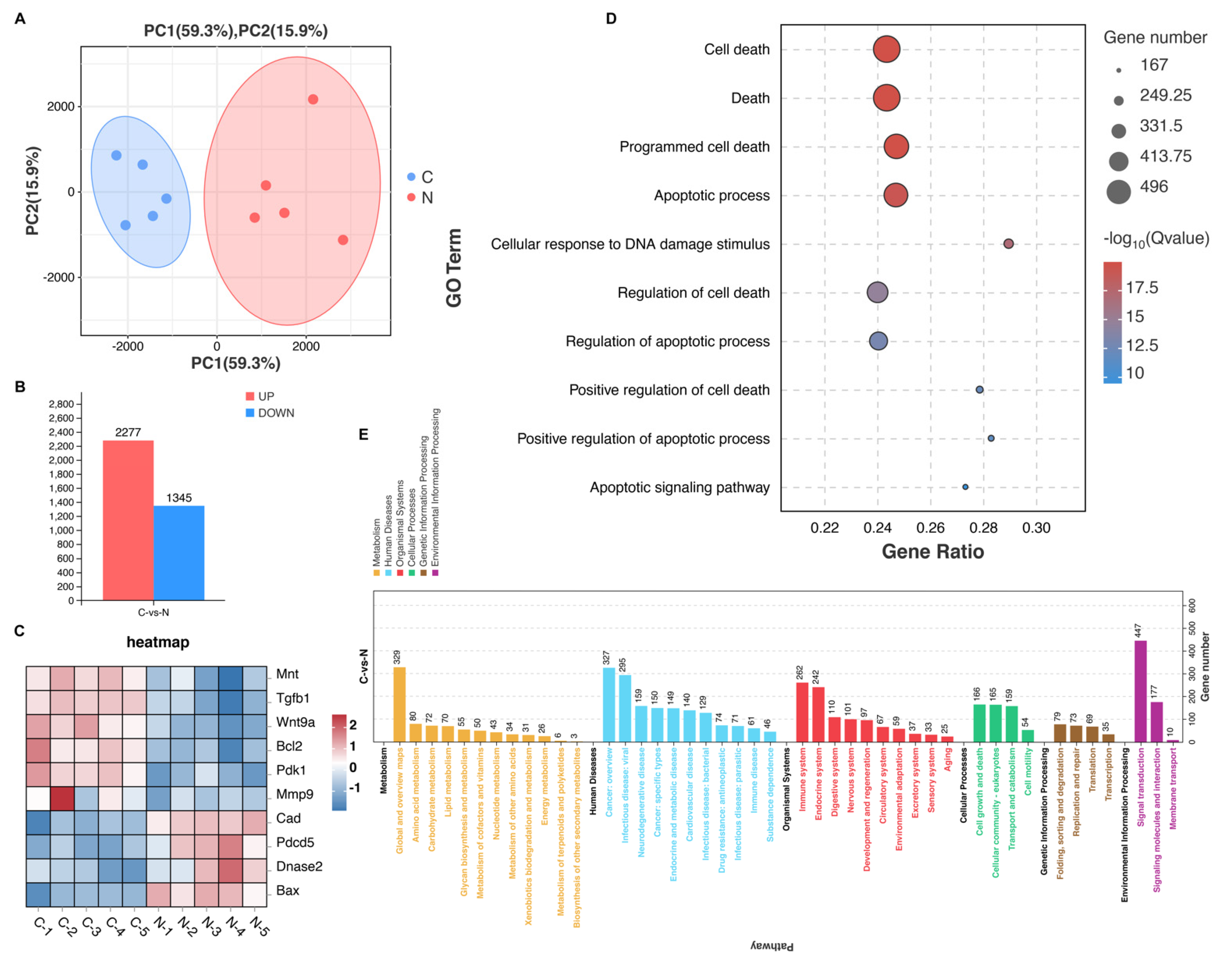 Cancers 15 02076 g004 Cancers 15 02076 g004