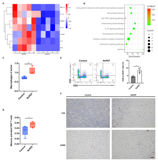 Nanosecond Pulsed Electric Field Induces an Antitumor Effect