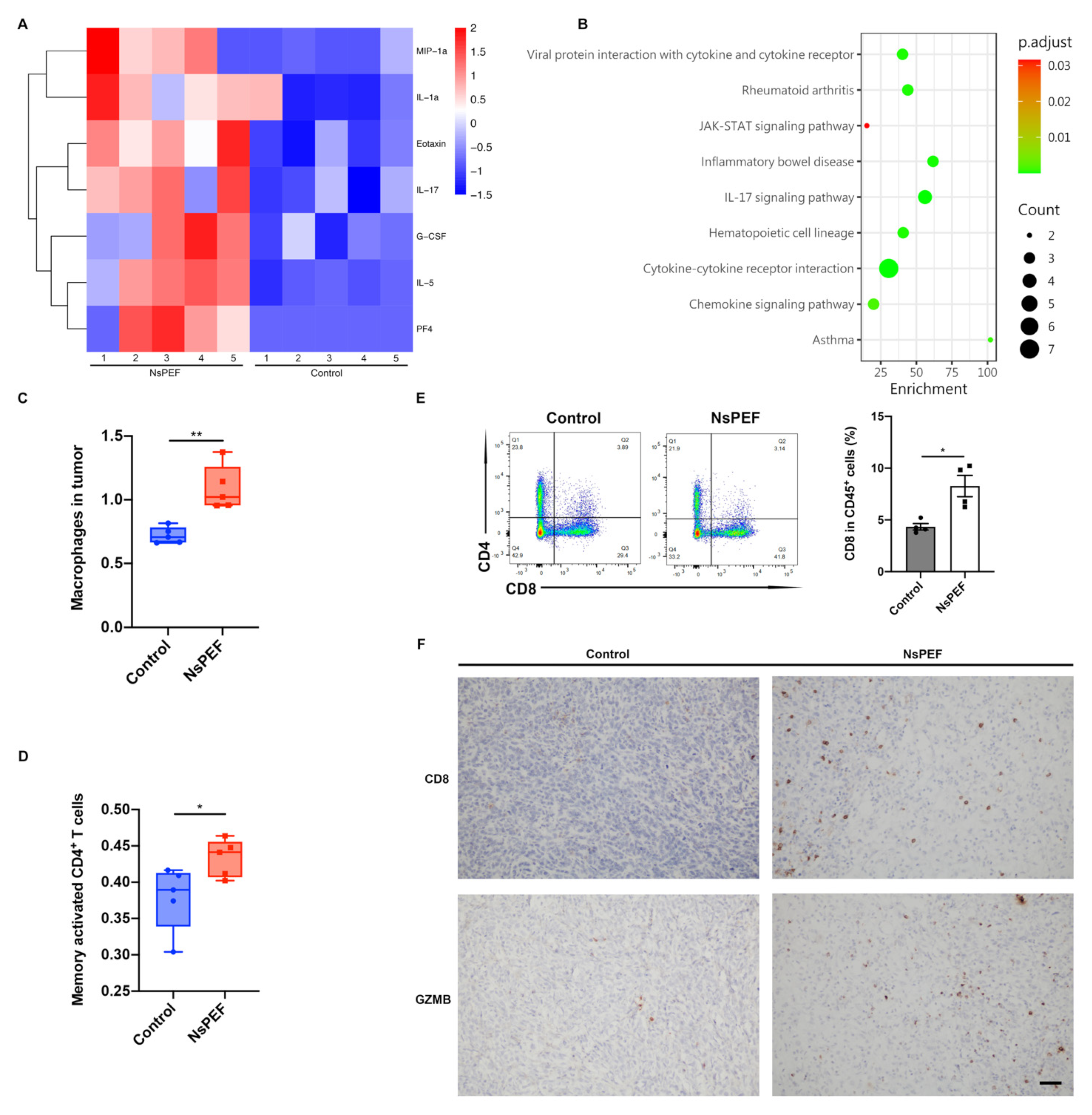 Cancers 15 02076 g005 Cancers 15 02076 g005