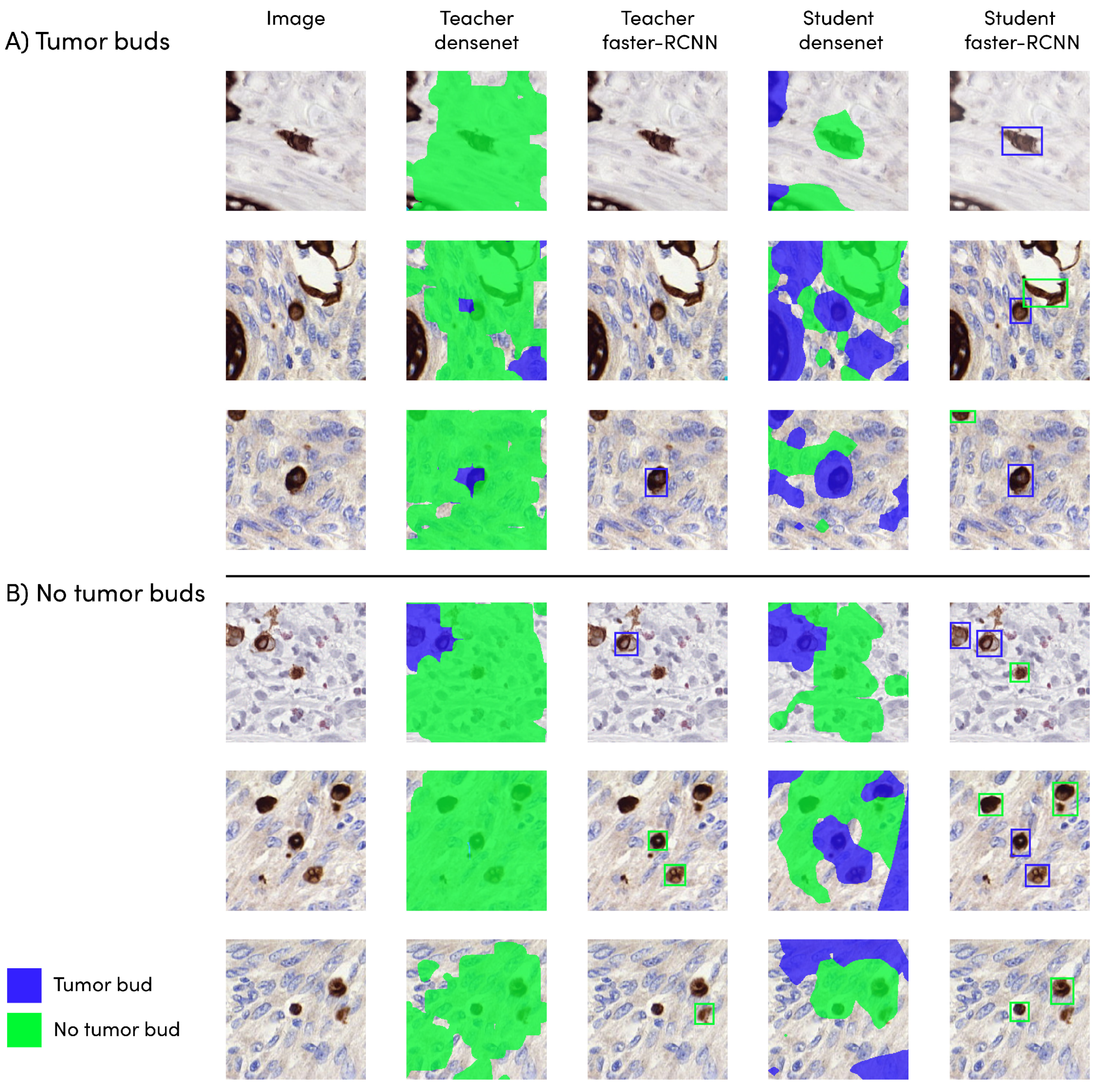 Cancers 15 02079 g003