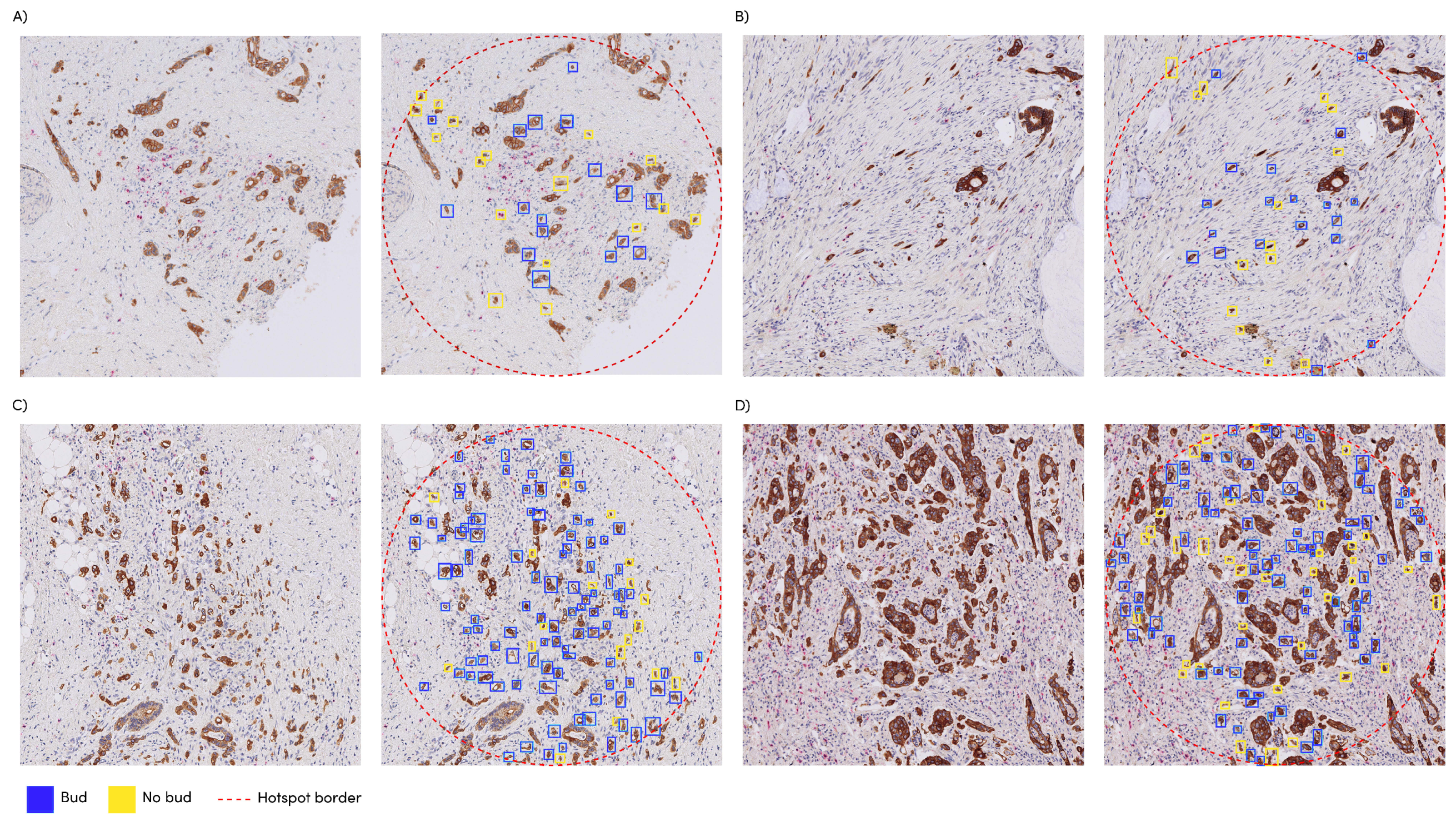 Cancers 15 02079 g004