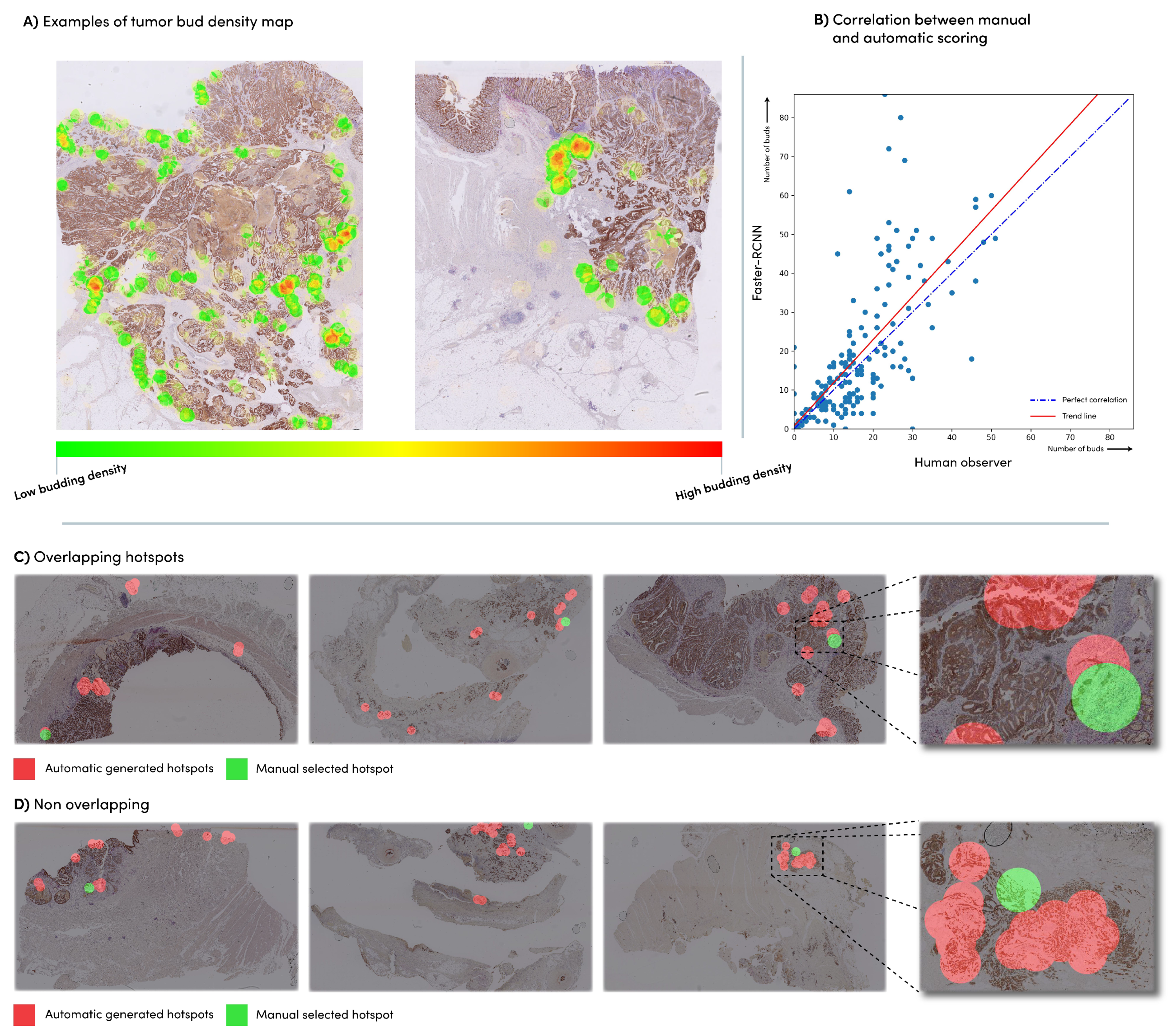 Cancers 15 02079 g005