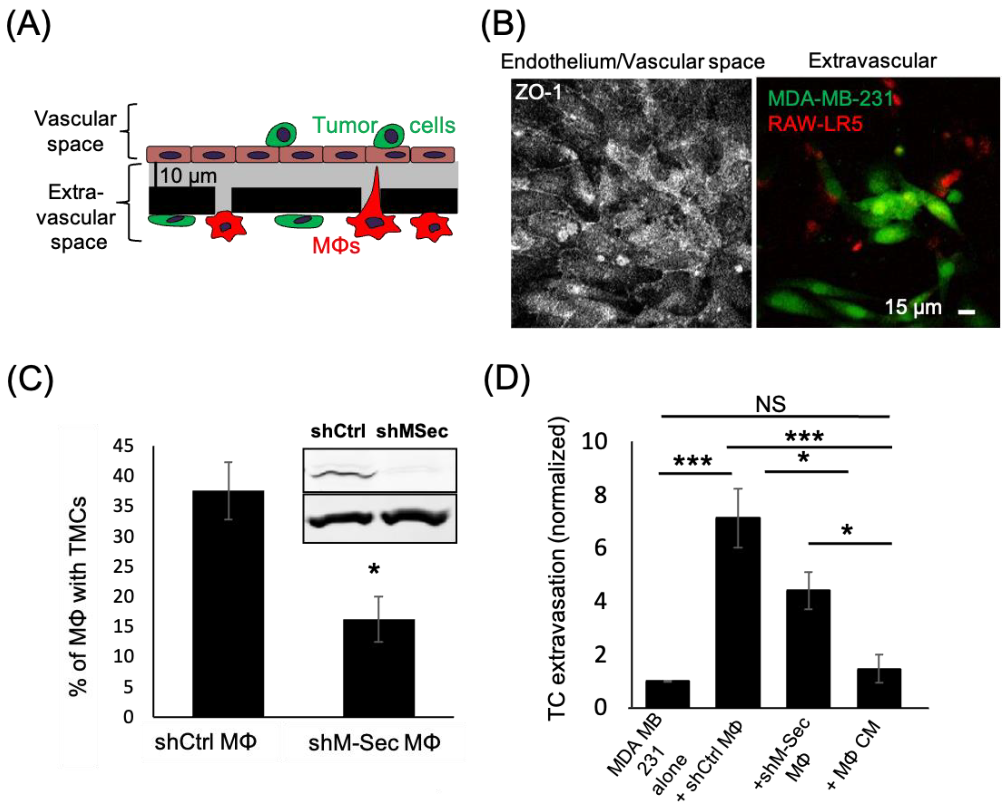 Cancers 15 02092 g003 Cancers 15 02092 g003