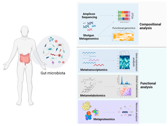 ミキ White Adipocyte Stem Cell Expansion Through Infant Formula