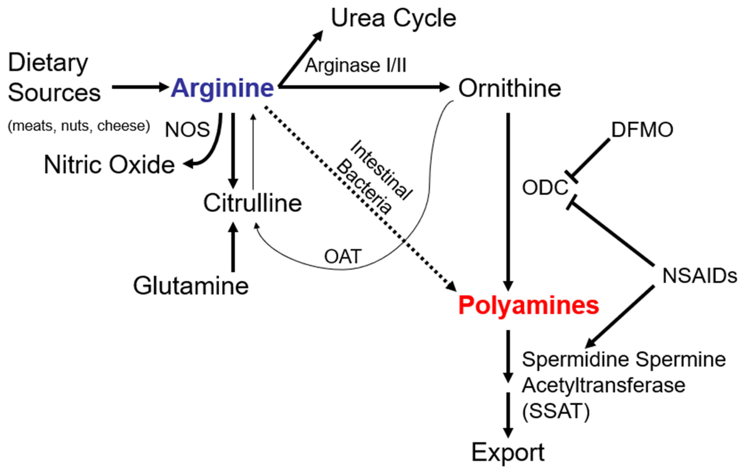 Cancers 15 02103 g001 Cancers 15 02103 g001