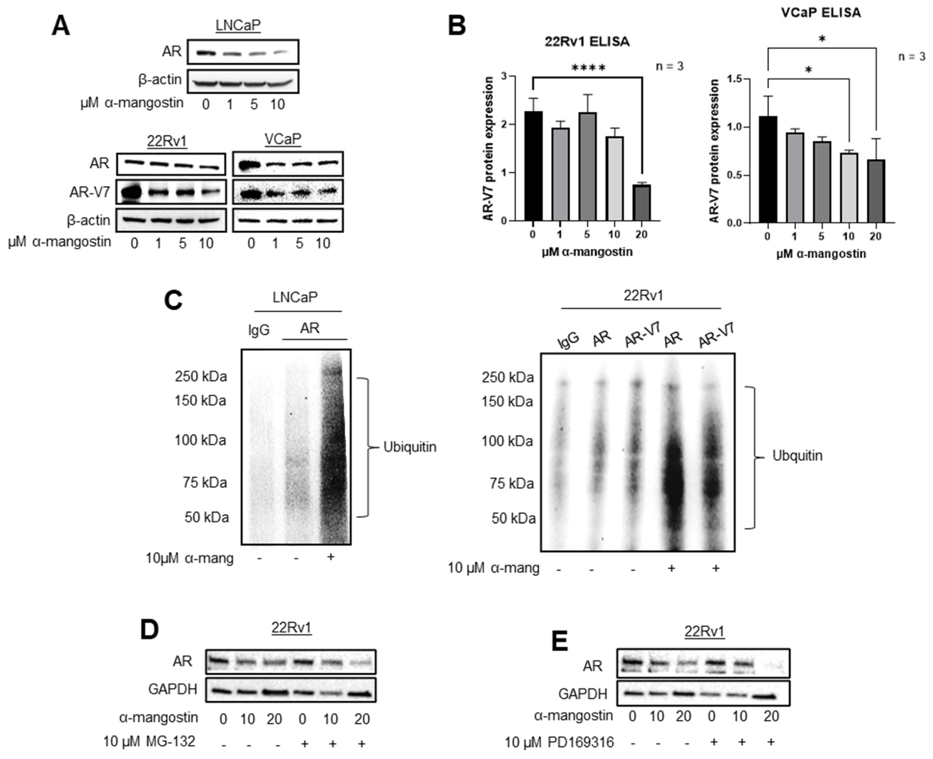 Cancers 15 02118 g002
