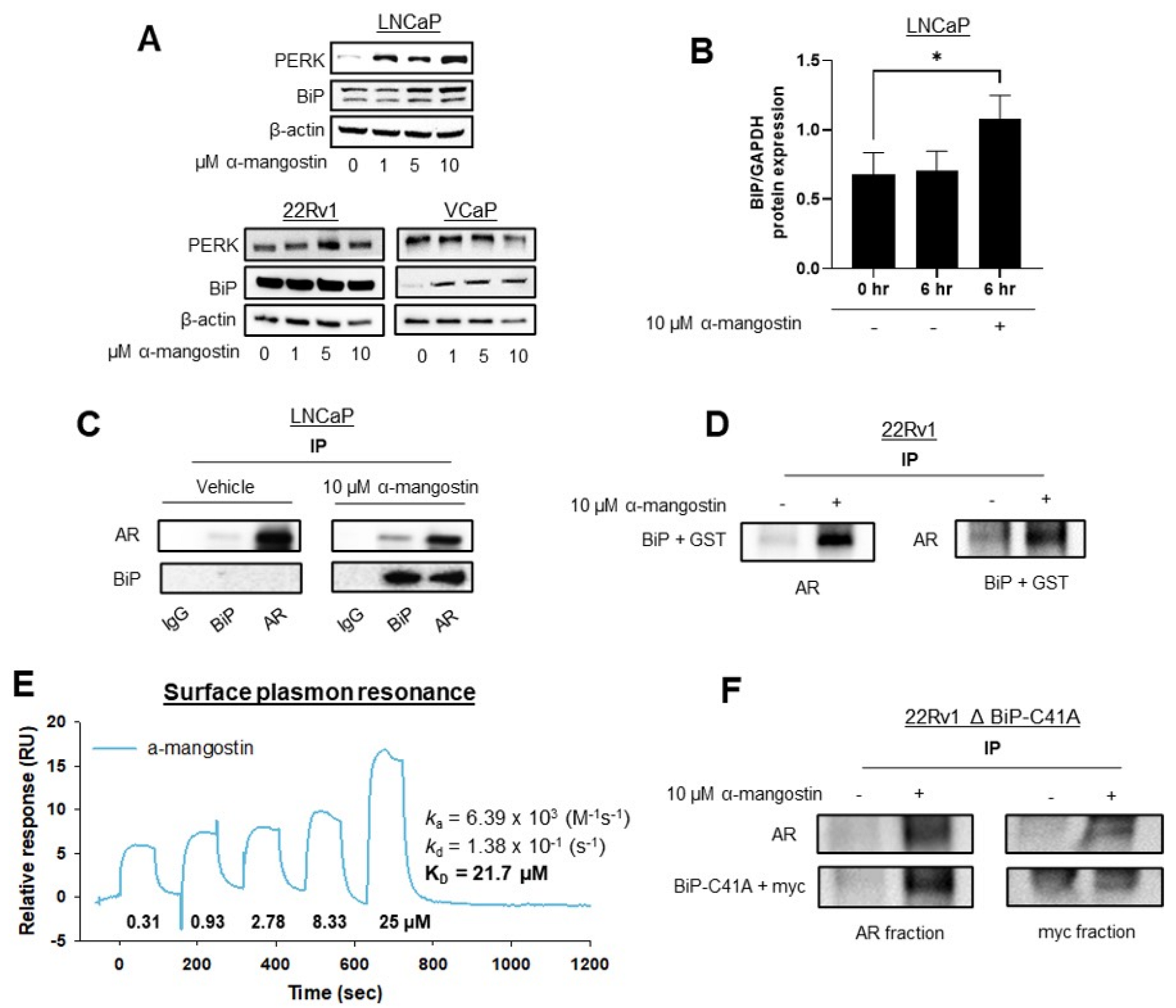 Cancers 15 02118 g004