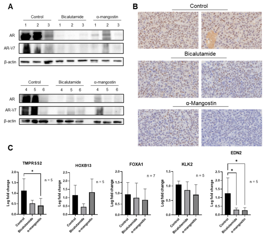 Cancers 15 02118 g006