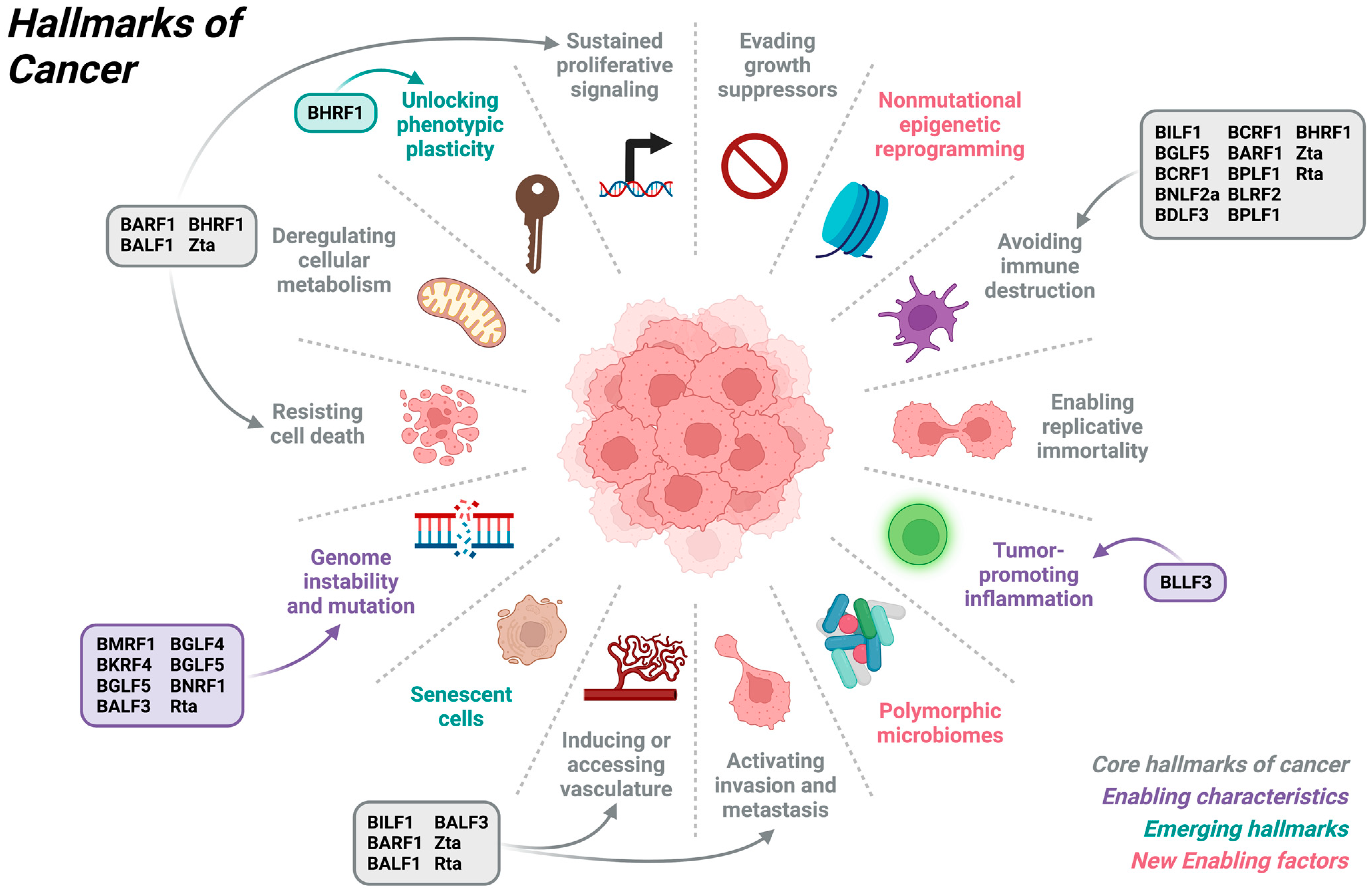 Cancers 15 02120 g001 Cancers 15 02120 g001