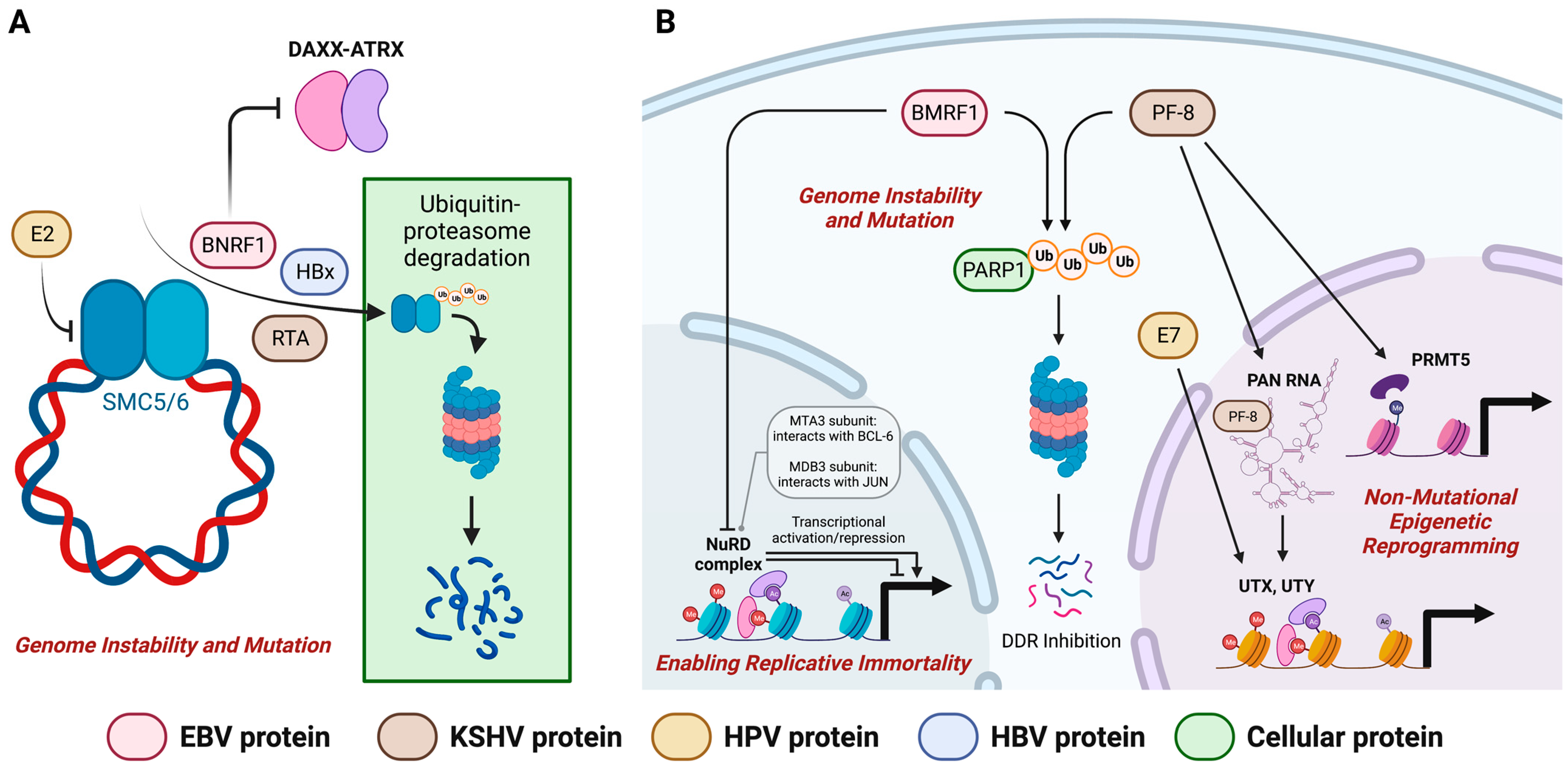 Cancers 15 02120 g004 Cancers 15 02120 g004