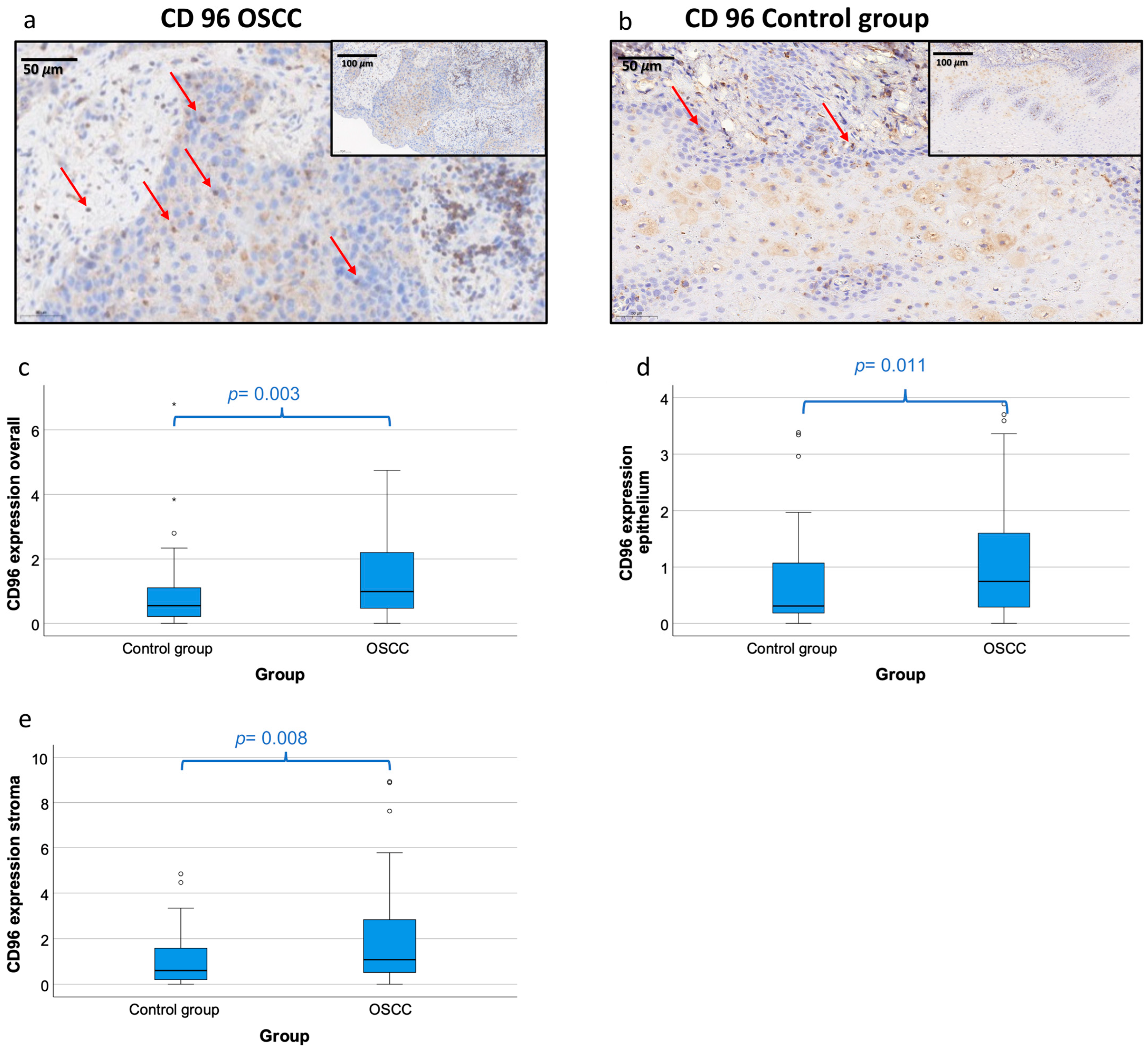 Cancers 15 02126 g001