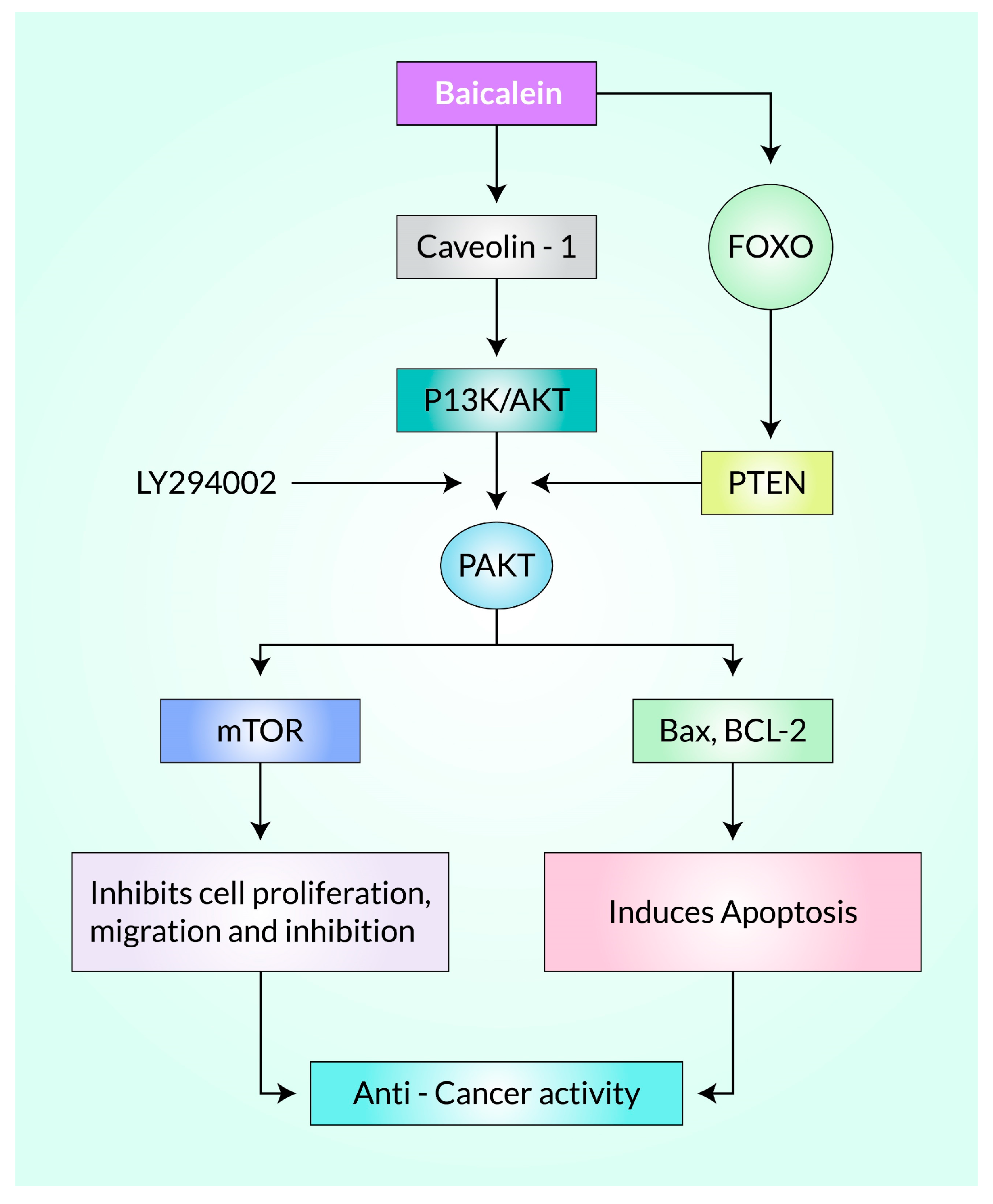 Cancers 15 02128 g007