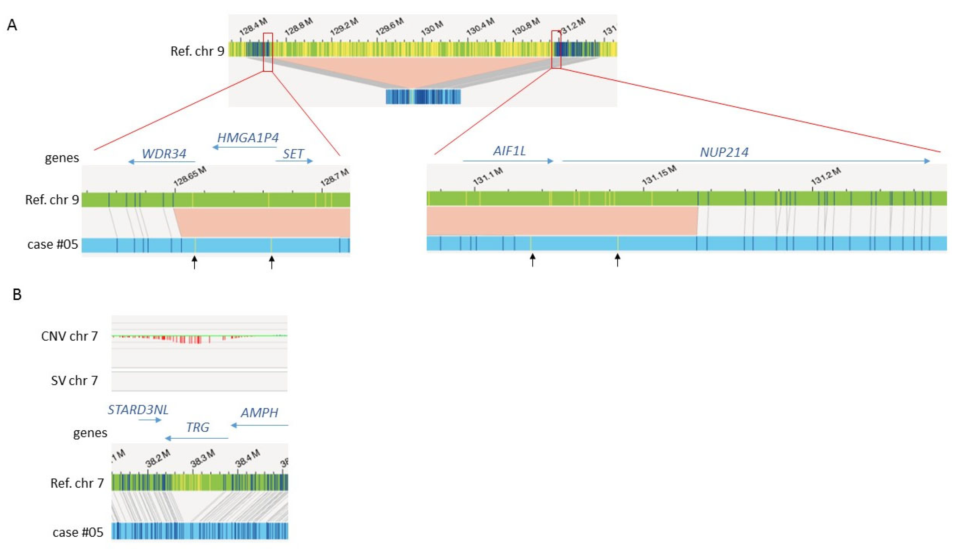 Cancers 15 02131 g005